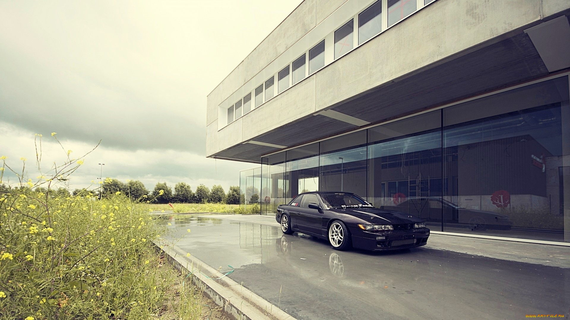 автомобили, nissan, datsun