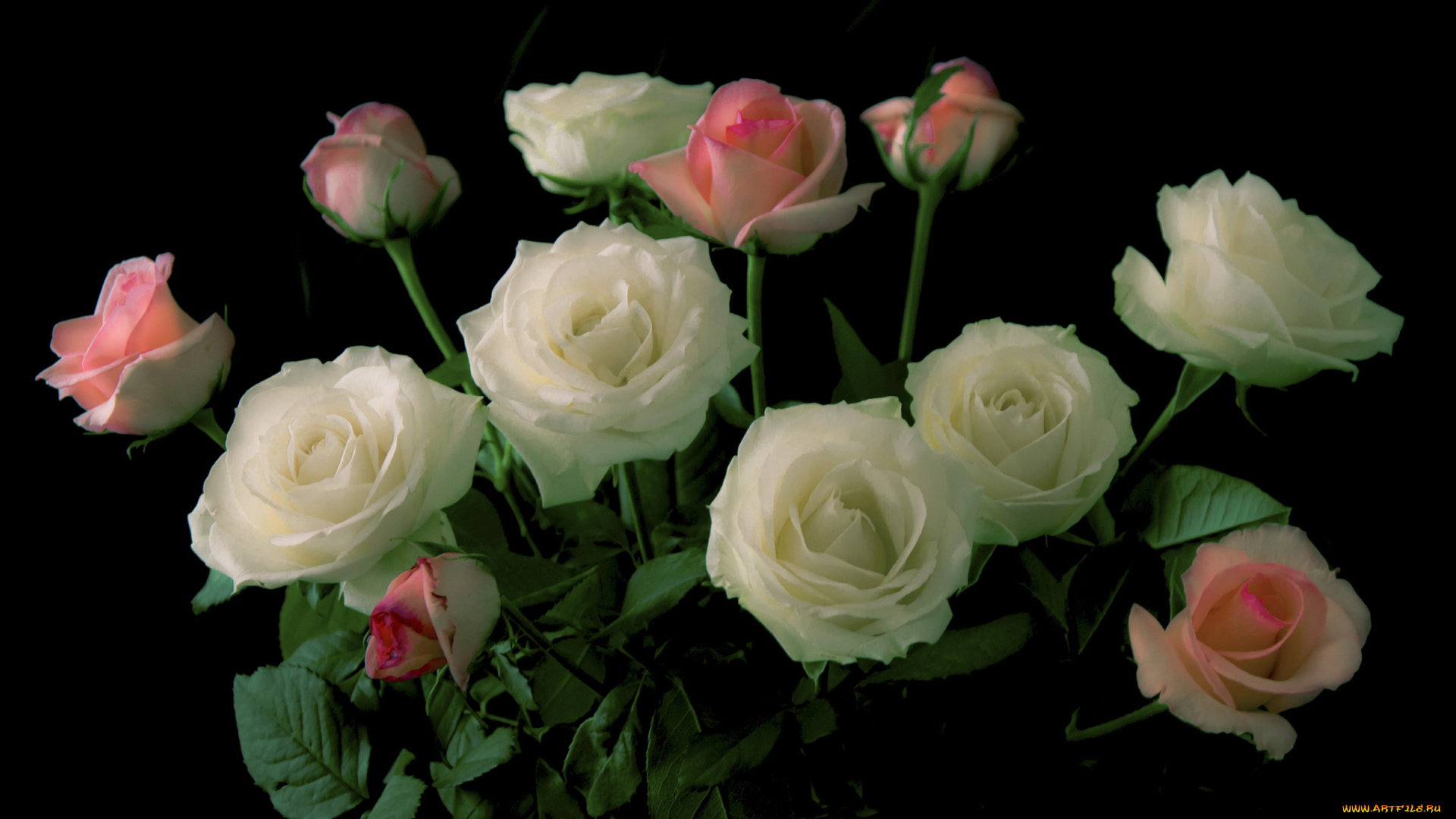 цветы, букеты, , композиции, розы