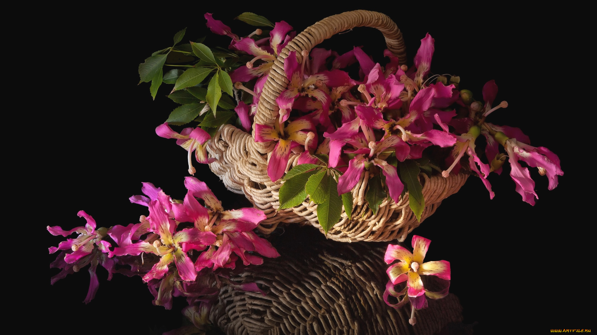 цветы, цветущие, деревья, , , кустарники, корзина