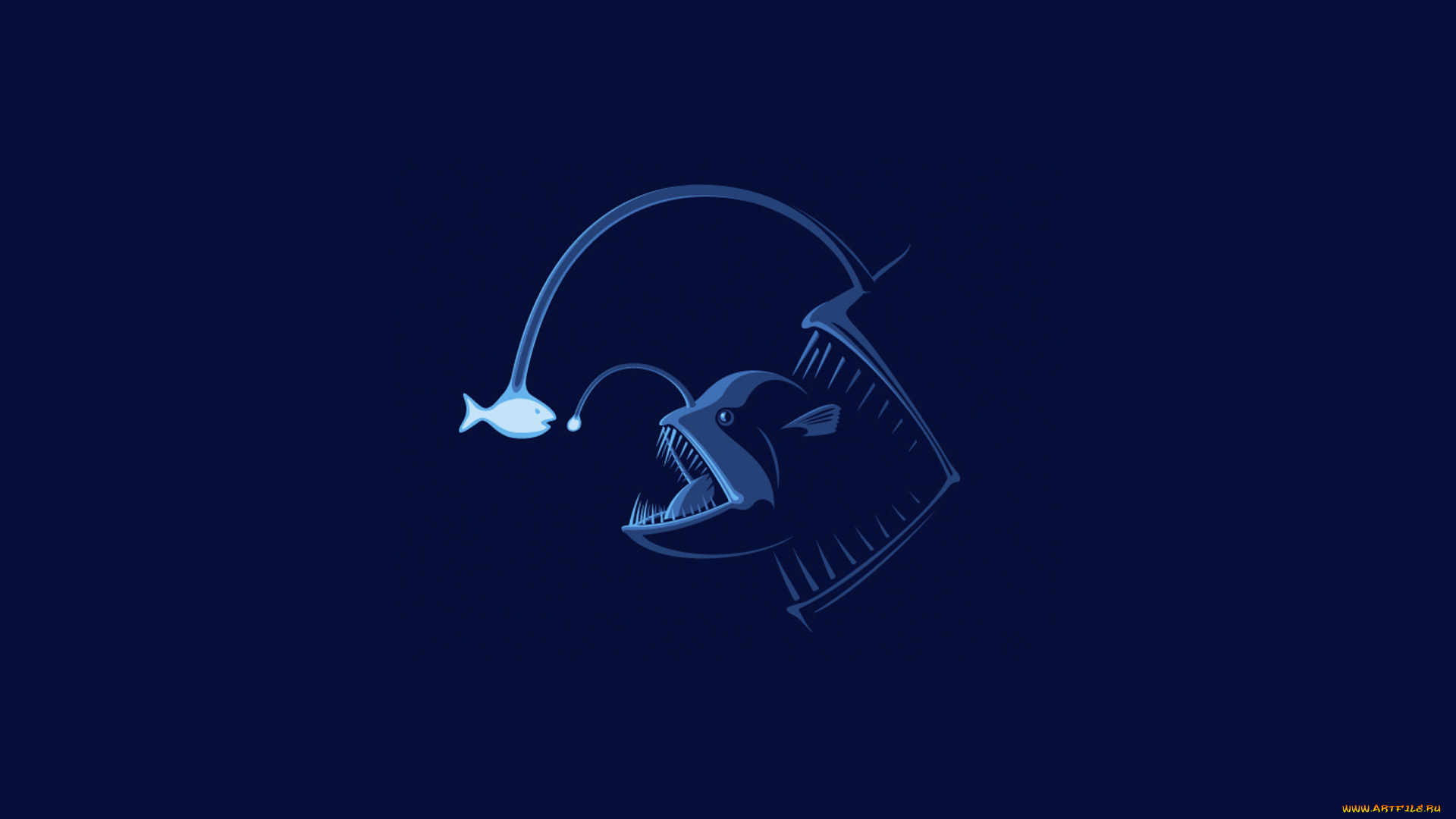 рисованные, минимализм, рыбы