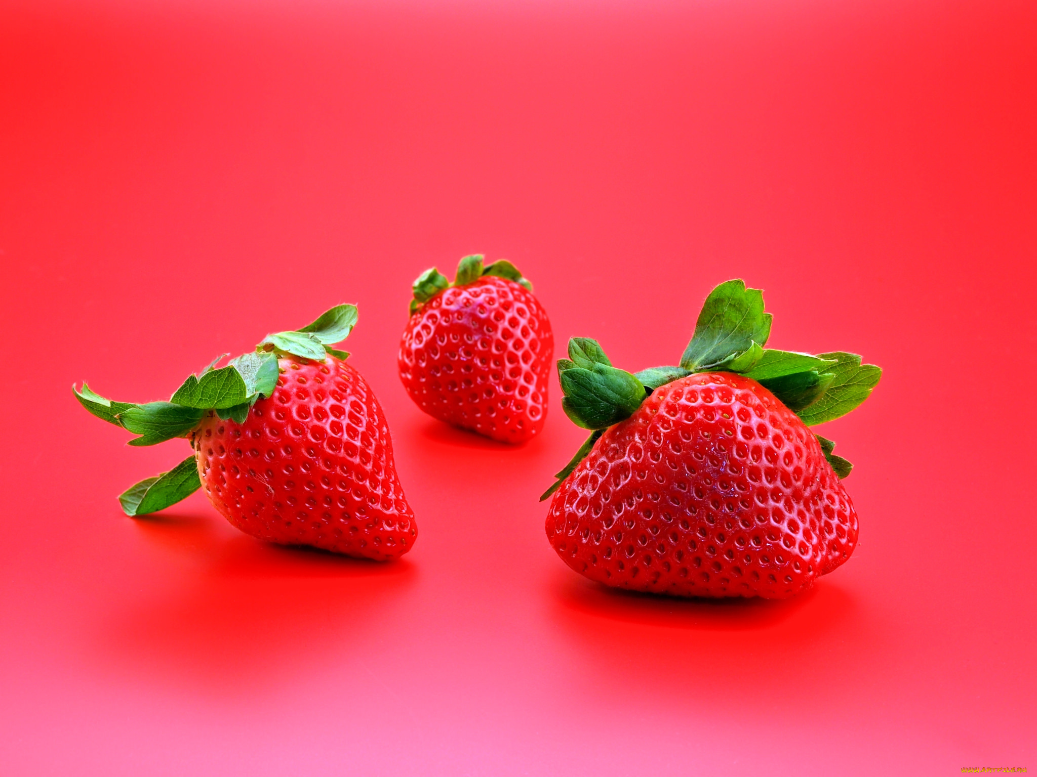 еда, клубника, , земляника