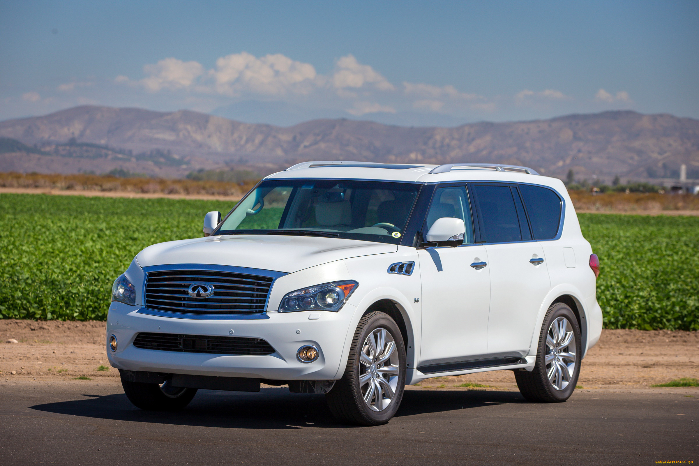 2014, infiniti, qx80, автомобили, infiniti, дорога, белый