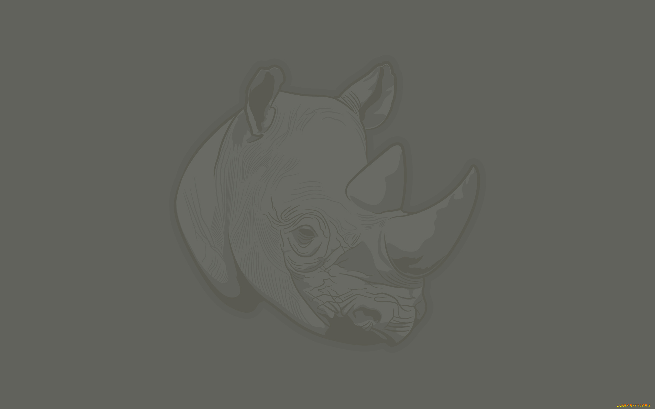 рисованные, животные, , носороги, носорог