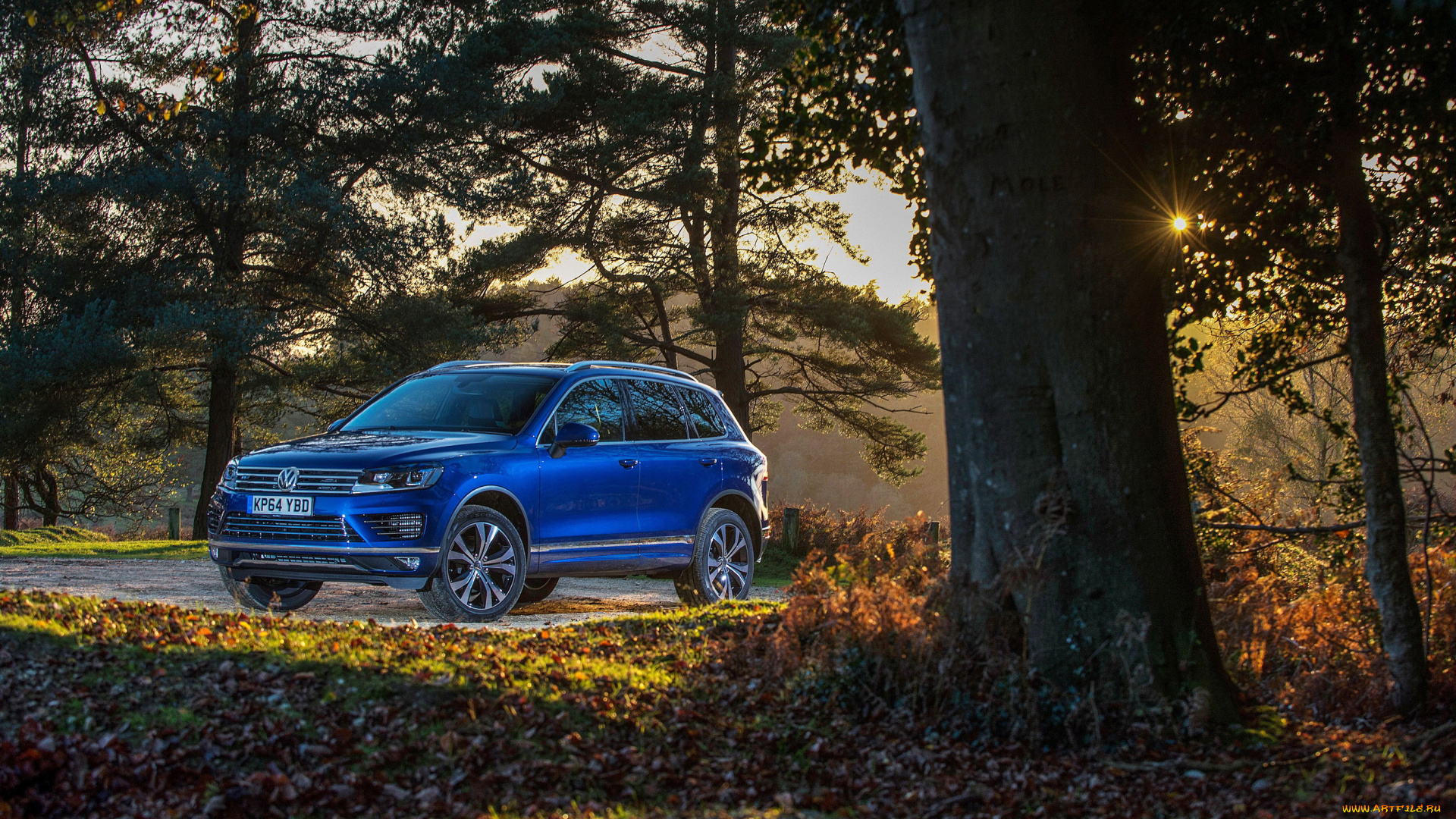 2014, volkswagen, touareg, r-line, автомобили, volkswagen, лес, голубой, touareg