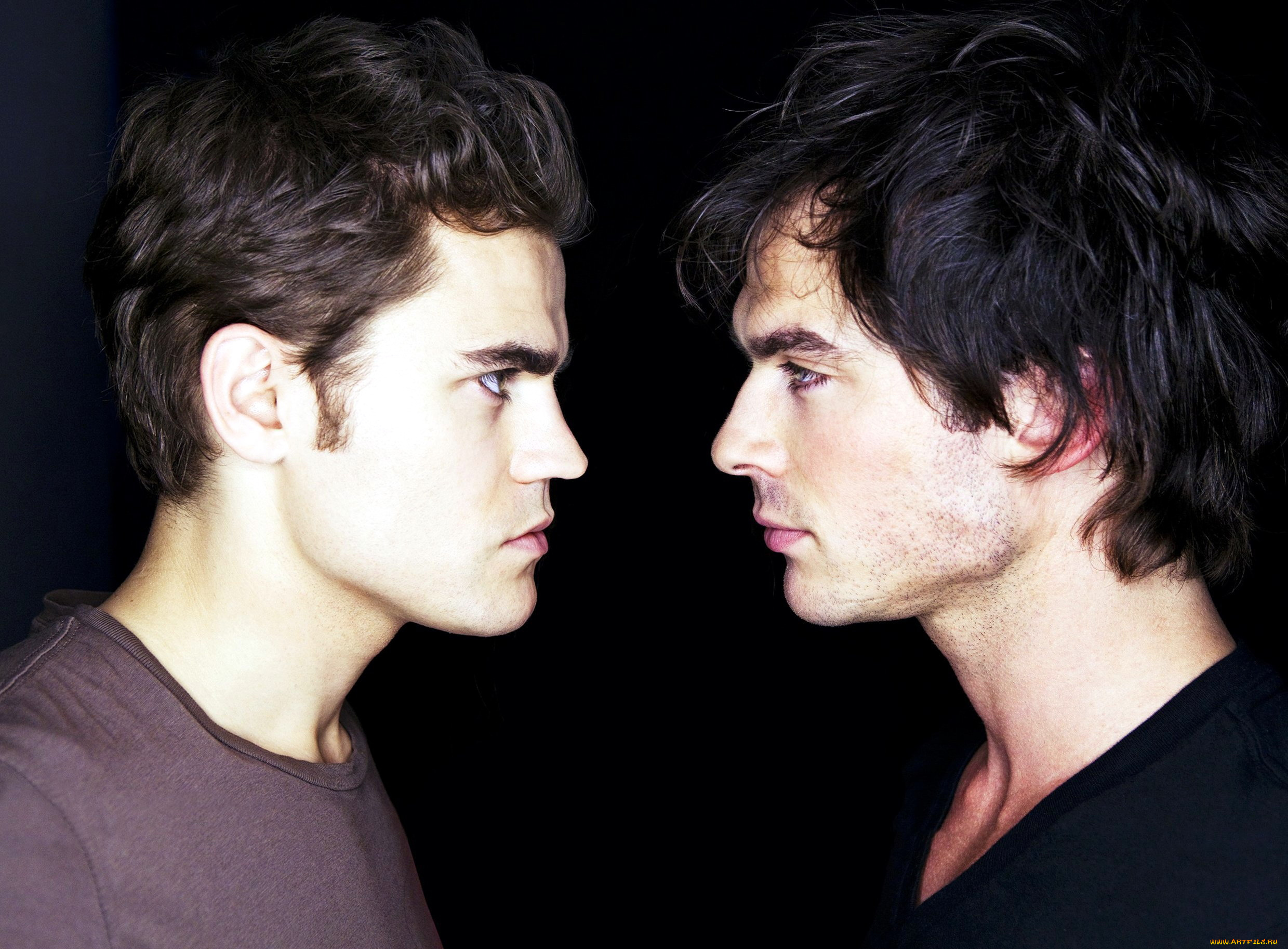 кино, фильмы, the, vampire, diaries, paul, wesley, ian, somerhalder