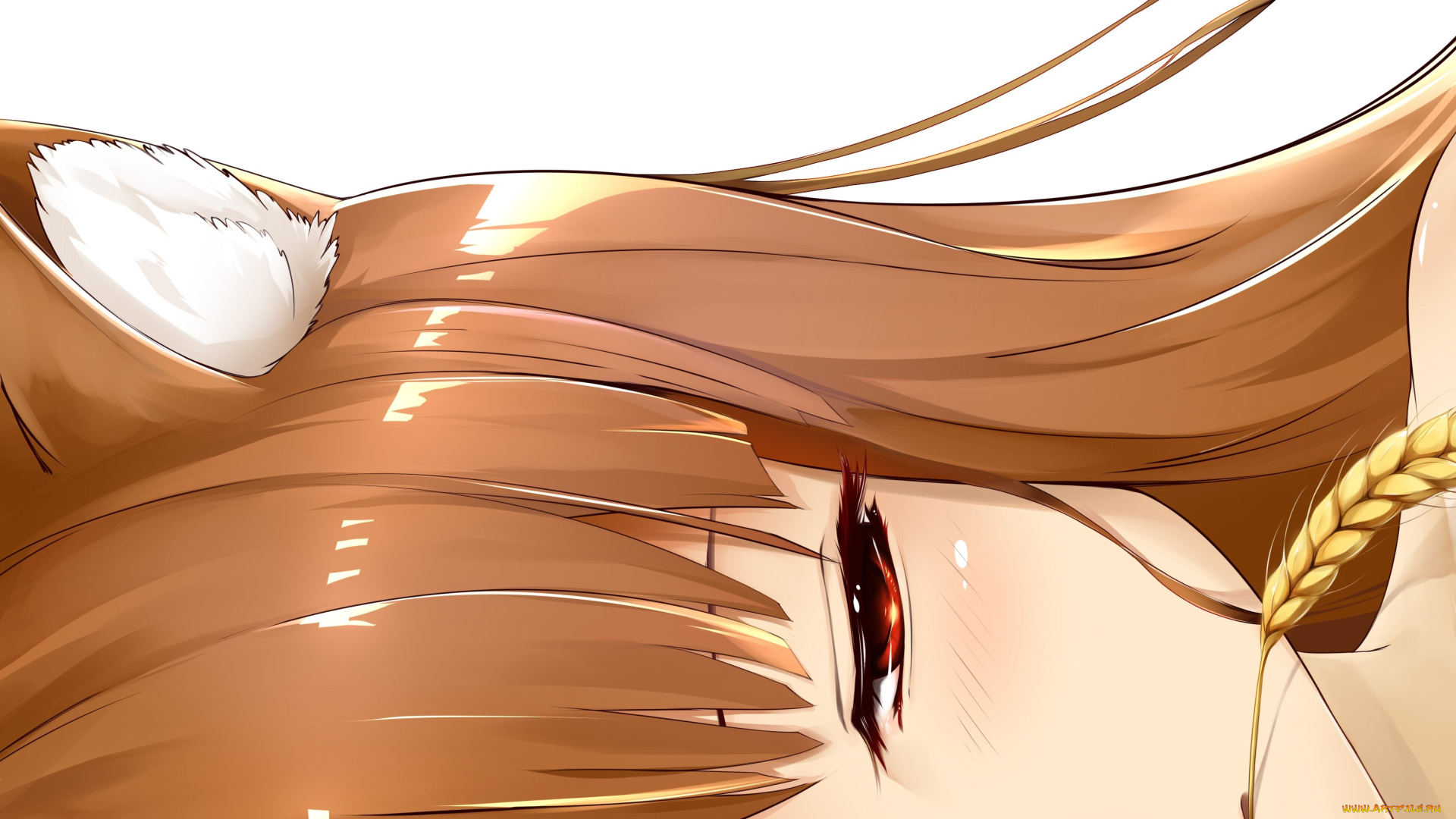 аниме, spice, and, wolf, holo