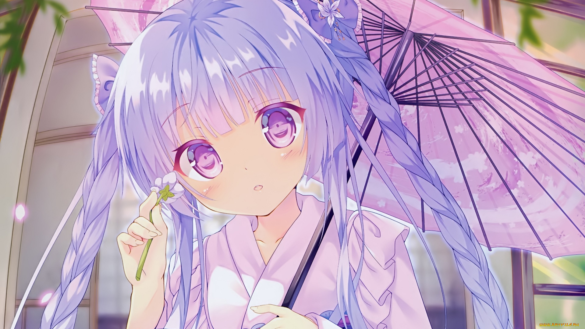 аниме, unknown, , другое, kinokomushi