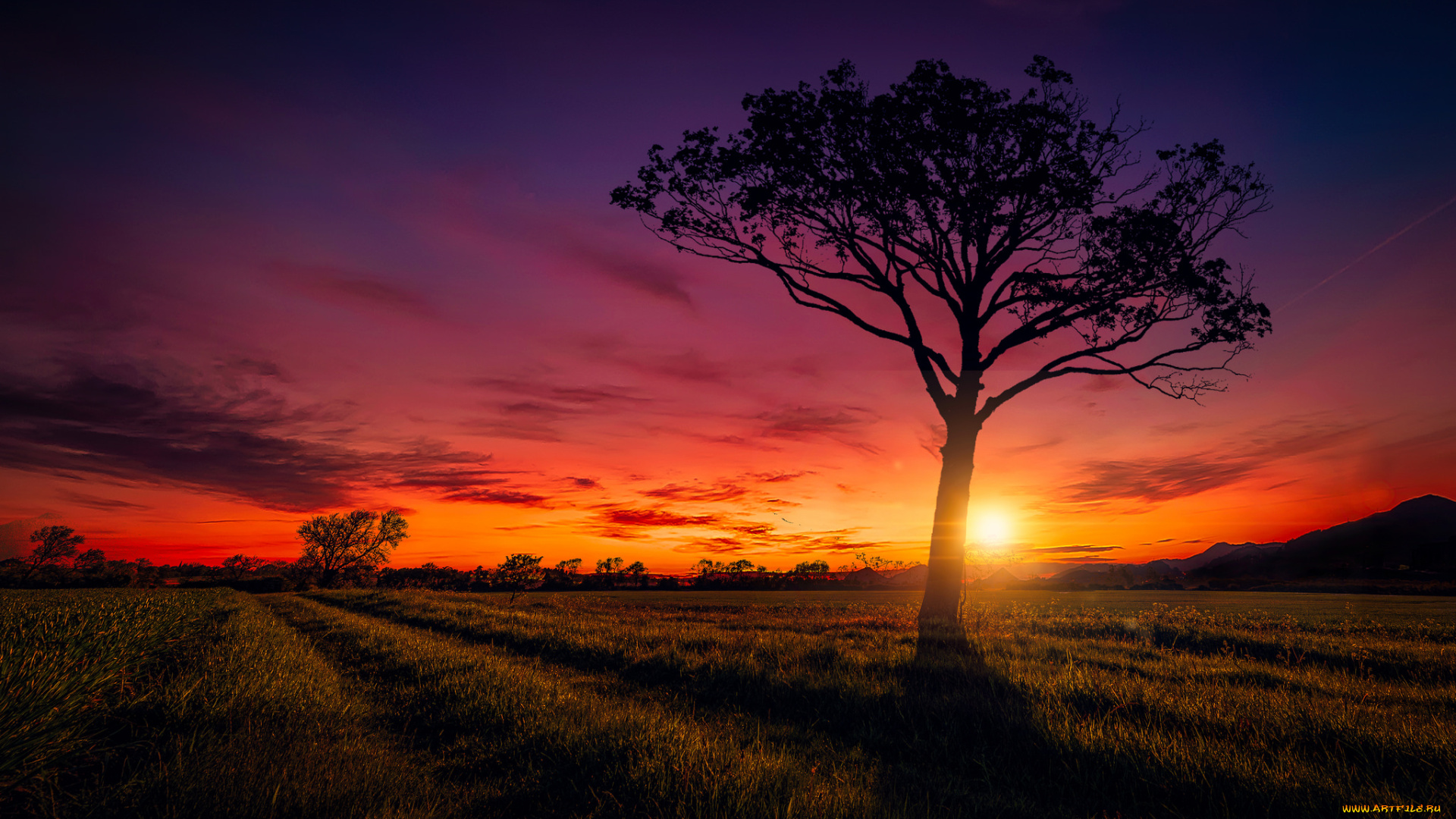 природа, восходы, закаты, рассвет