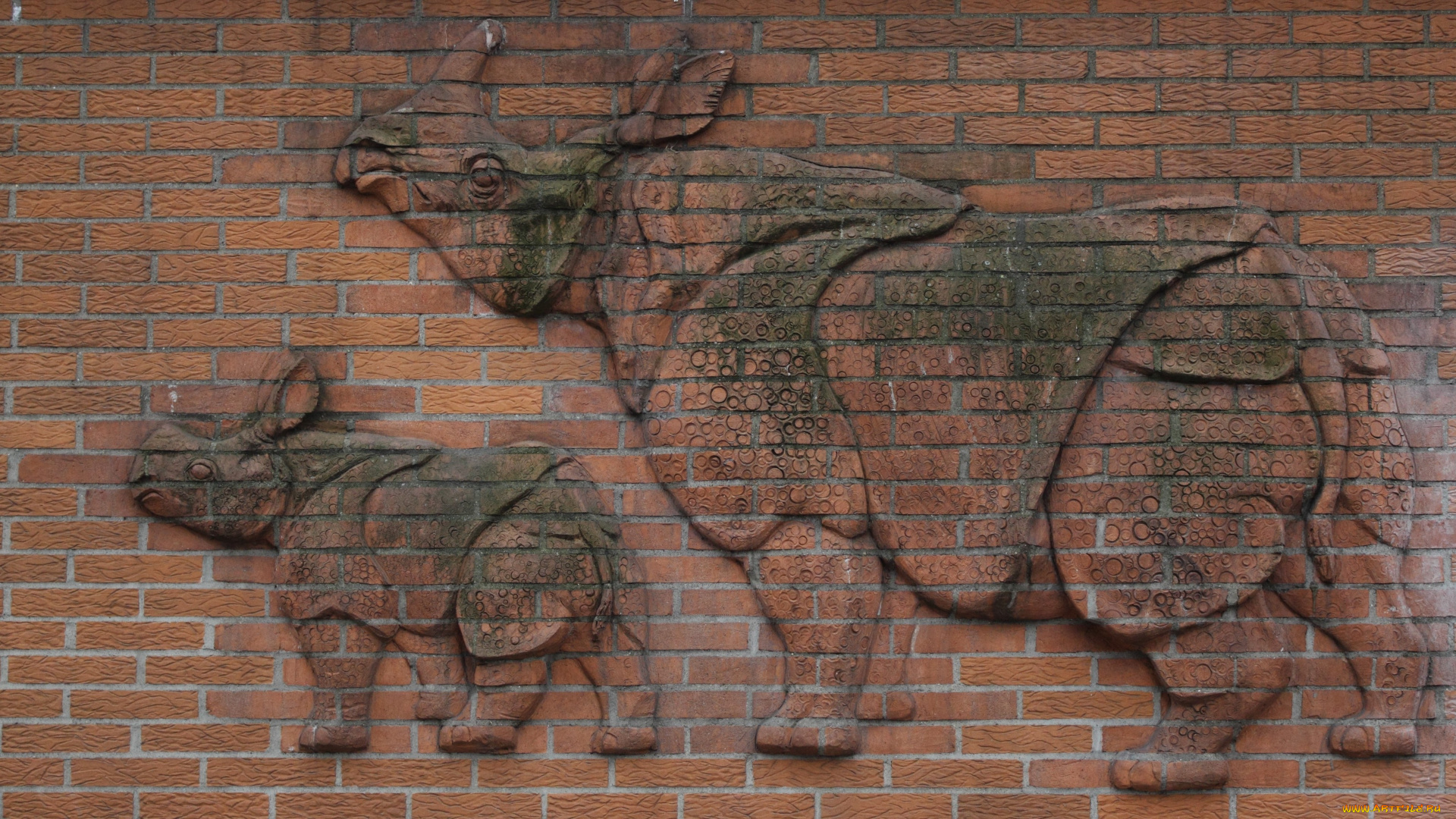 разное, -, другое, носороги, кирпич, стена