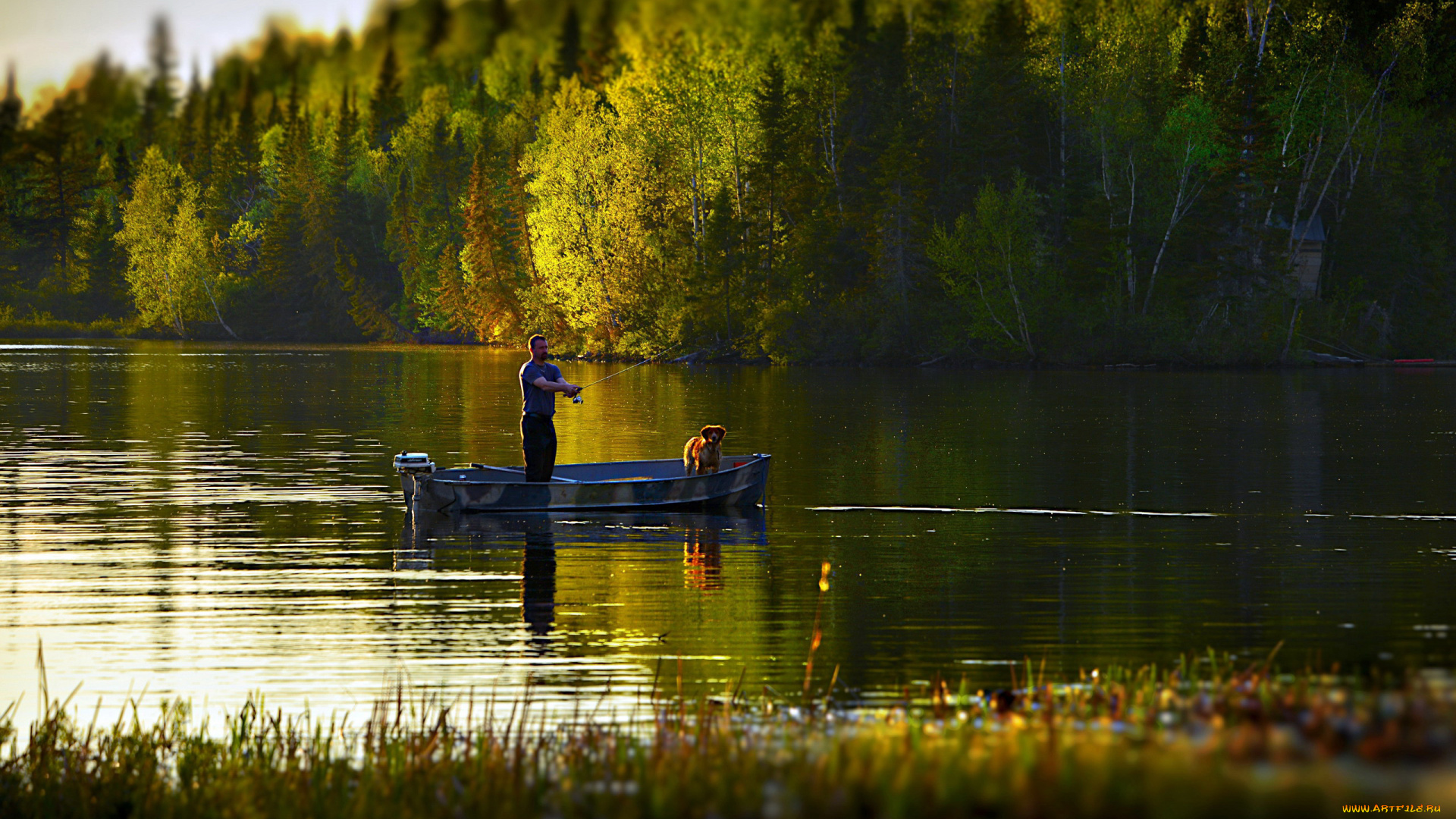 разное, рыбалка, , рыбаки, , улов, , снасти, удочка, рыбак, лодка, река, собака