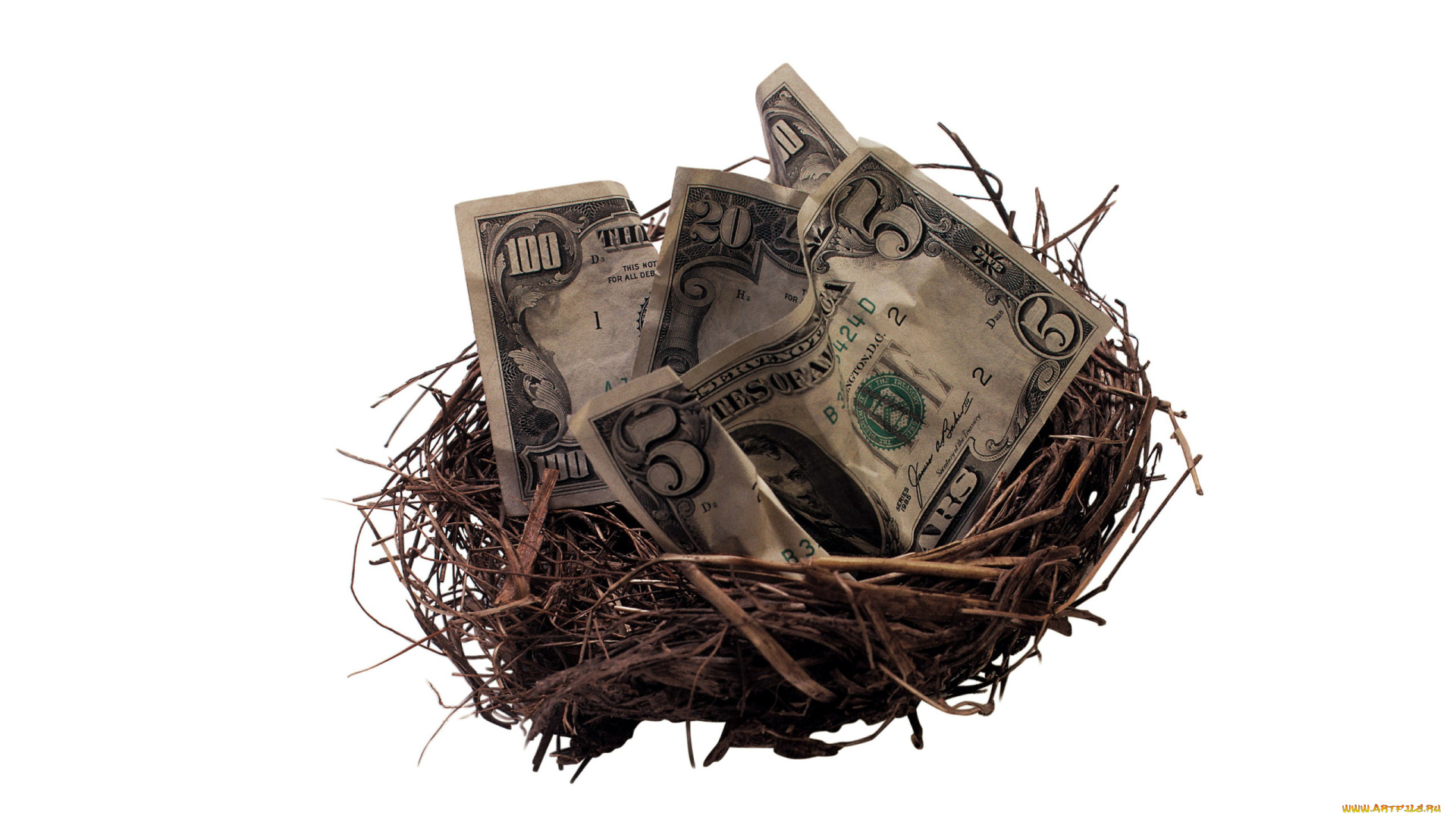разное, золото, , купюры, , монеты, гнездо, банкноты, доллары