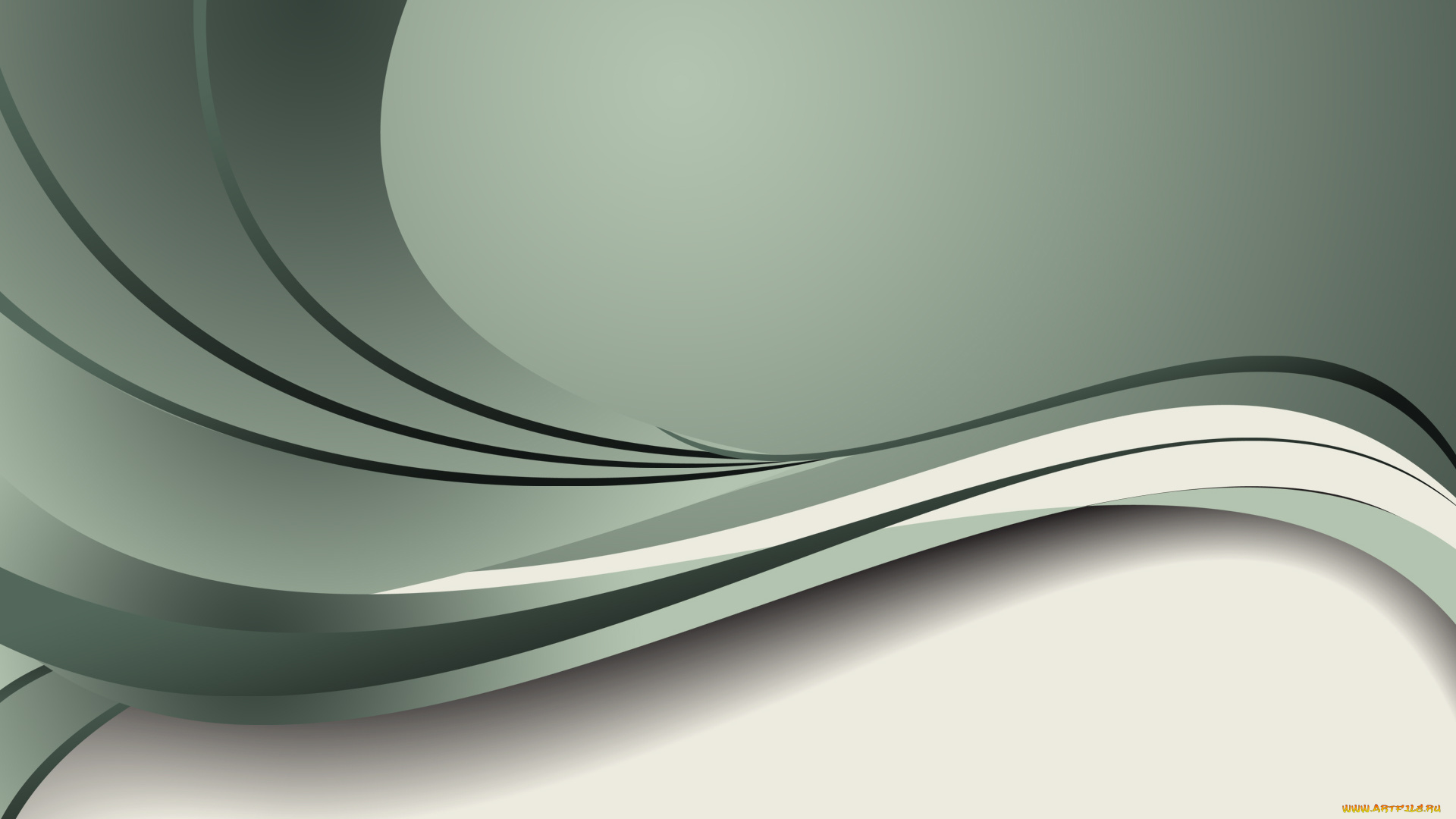 векторная, графика, графика, , graphics, цвета, фон, узор