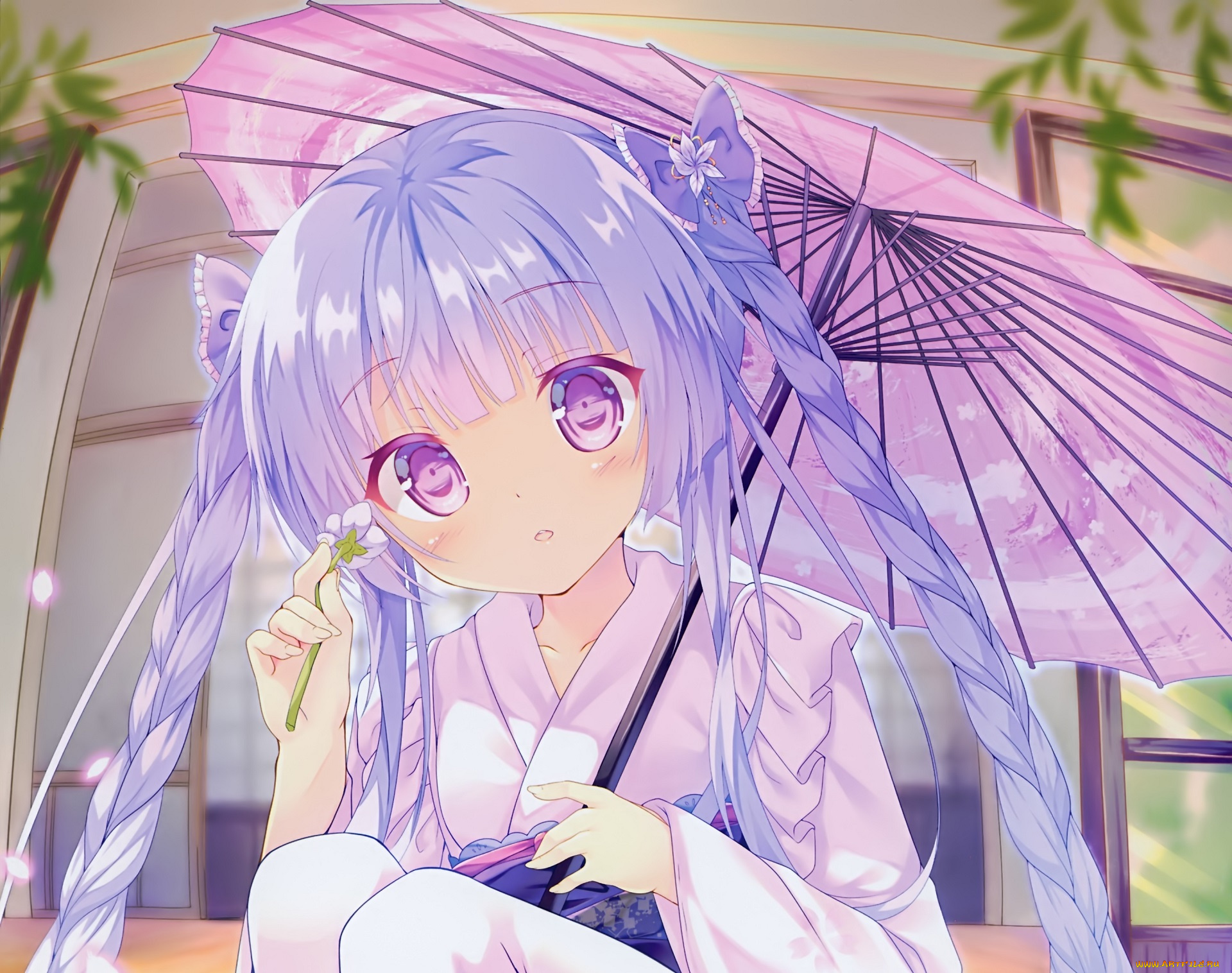 аниме, unknown, , другое, kinokomushi