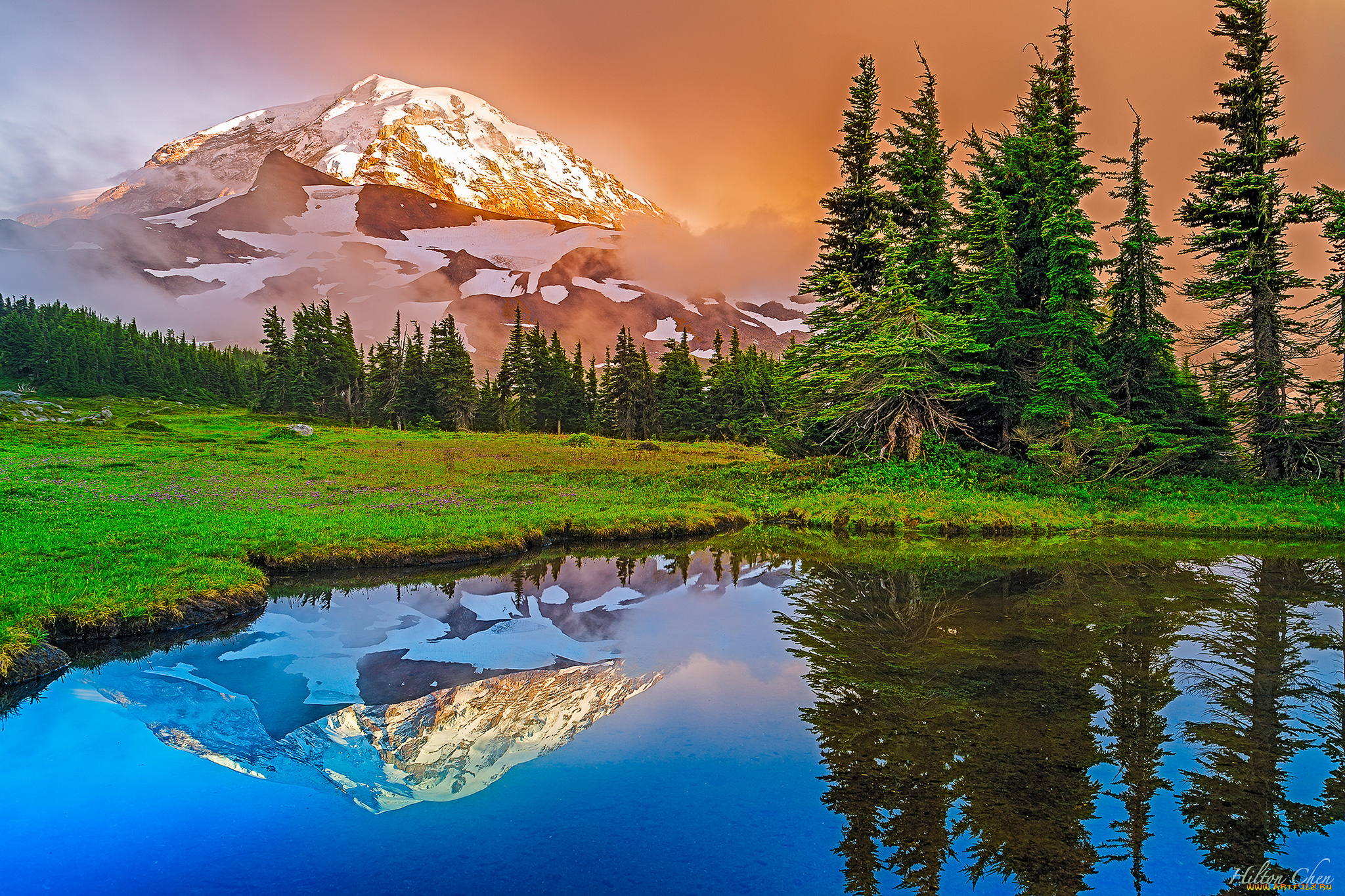 природа, реки, озера, река, лес