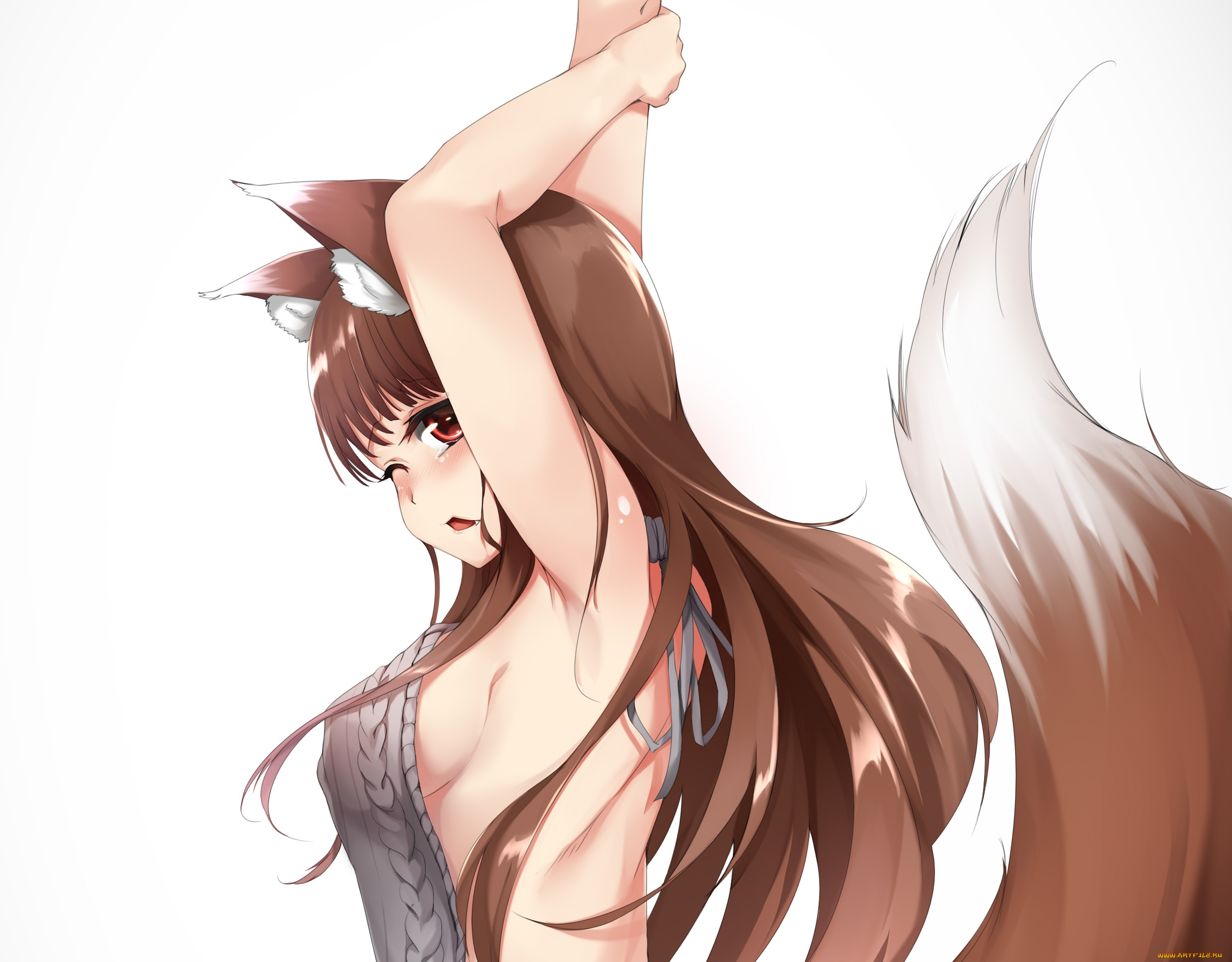 аниме, spice, and, wolf, holo