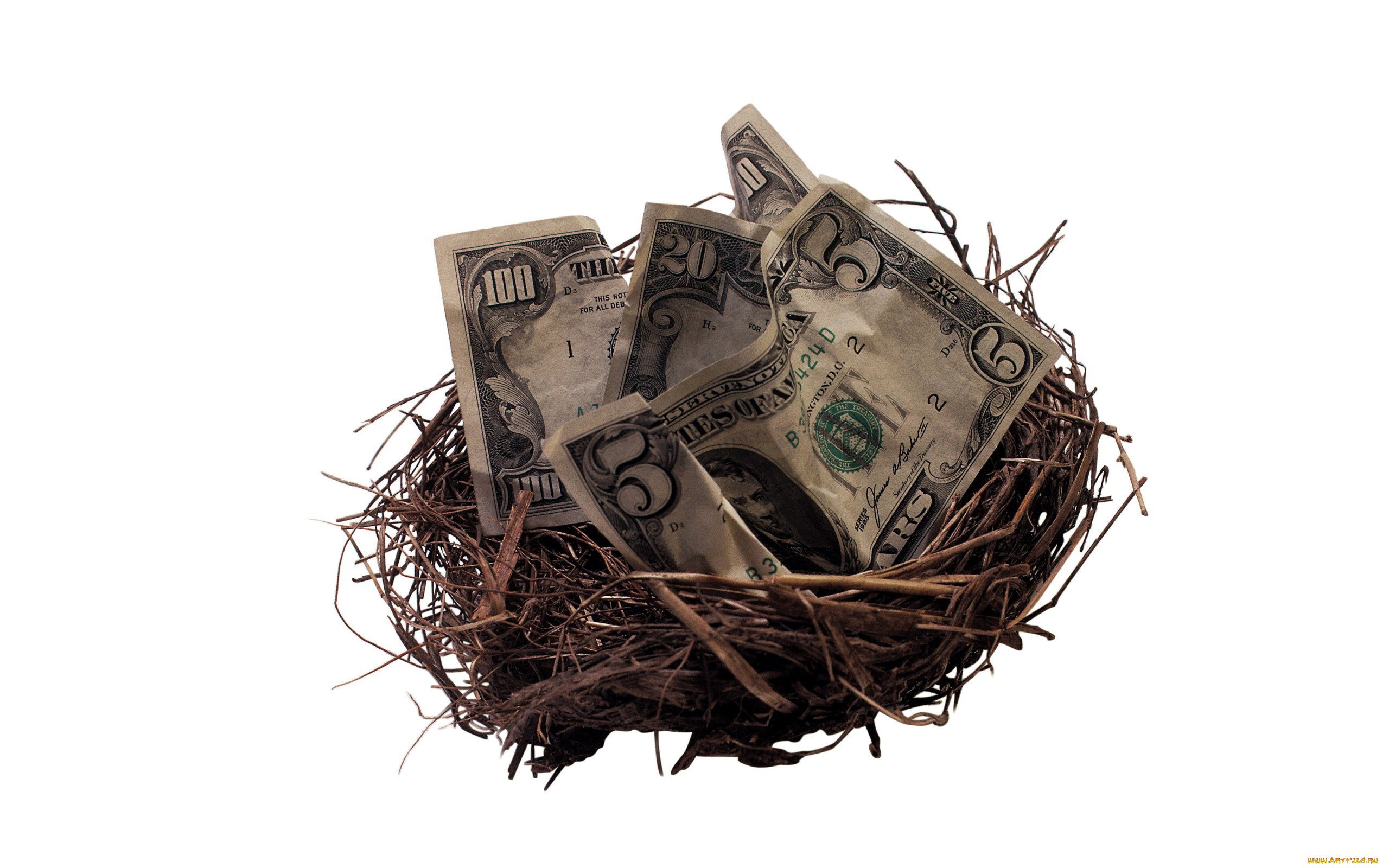 разное, золото, , купюры, , монеты, гнездо, банкноты, доллары