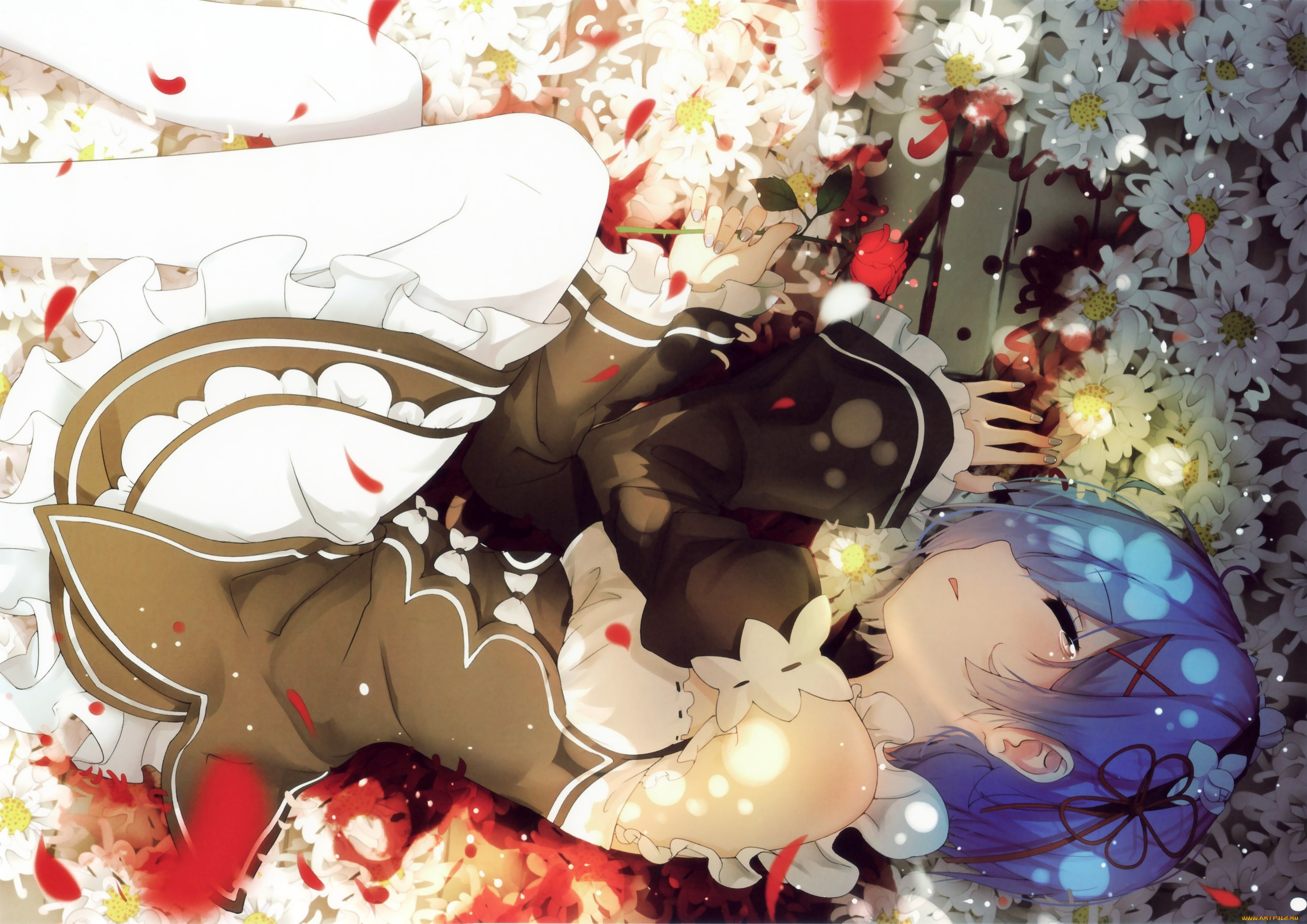 аниме, re, , zero, kara, hajimeru, isekai, seikatsu, rem