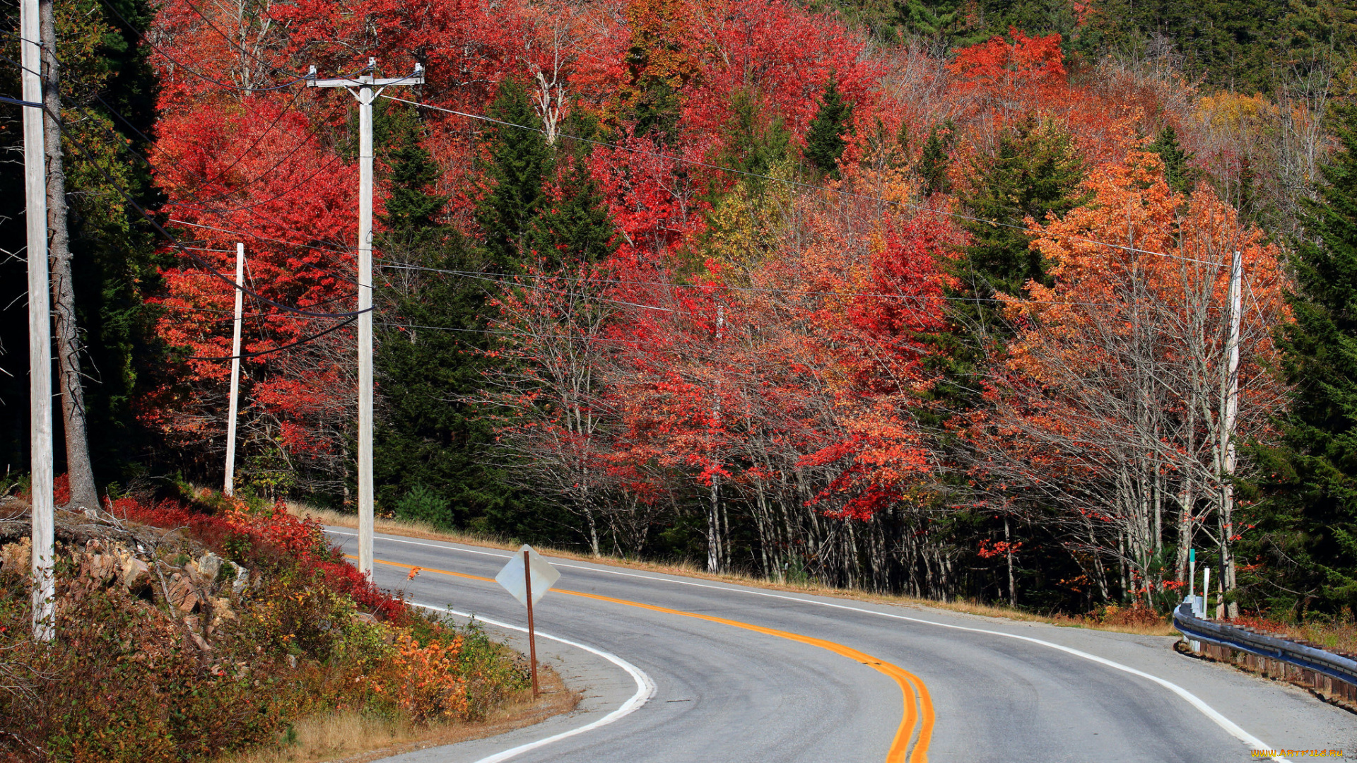 природа, дороги, простор