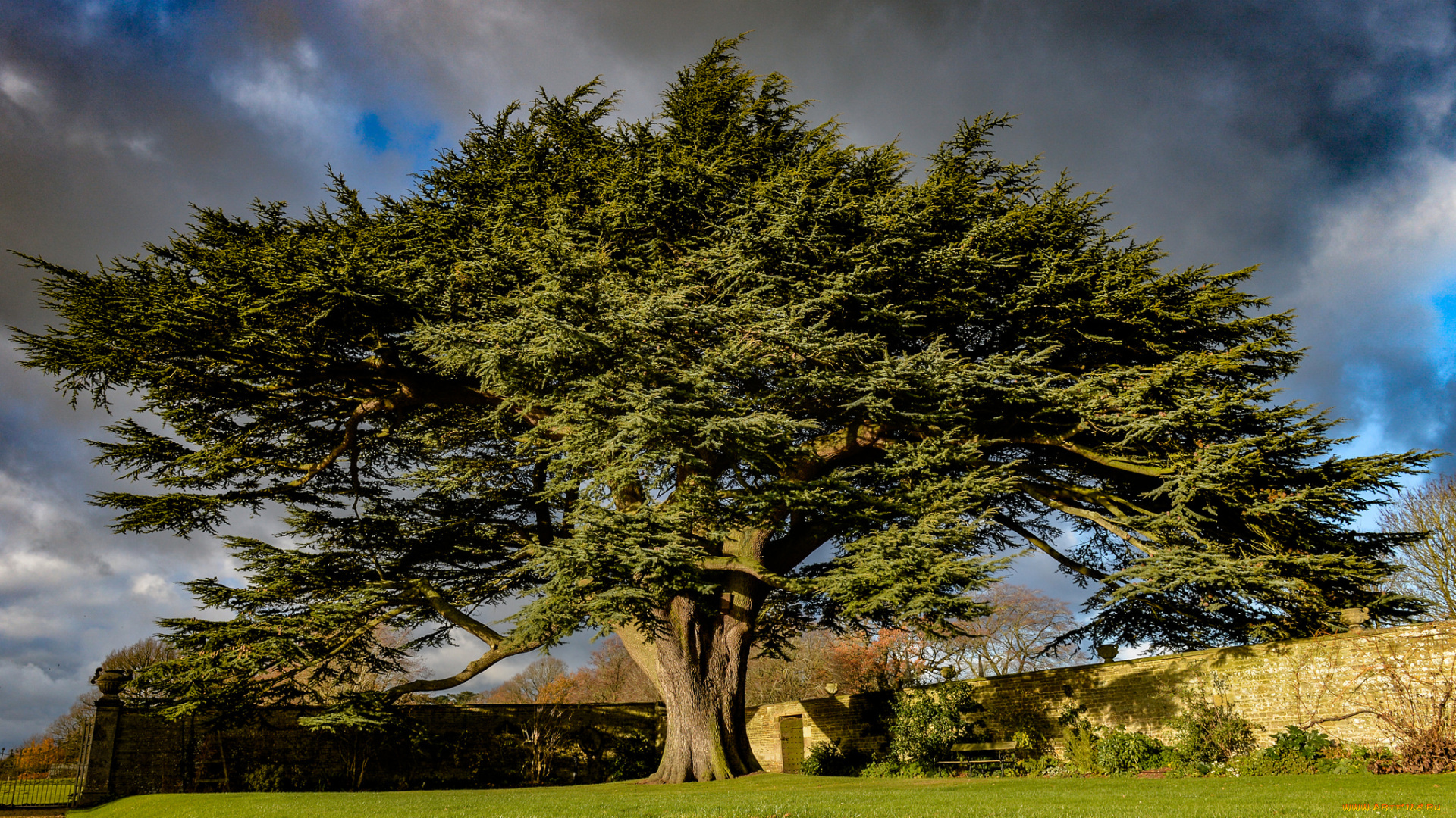 природа, дороги, простор