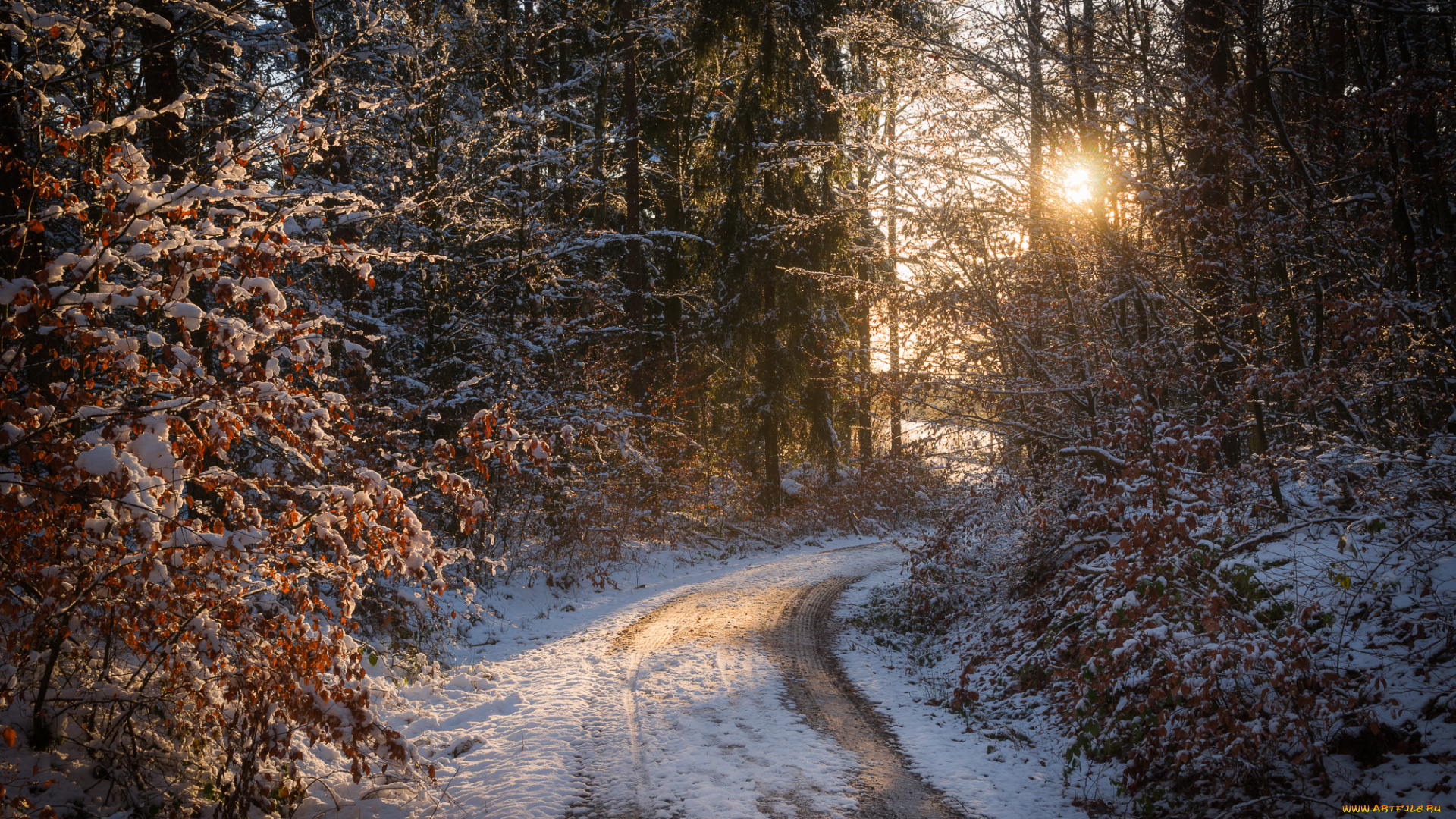 природа, дороги, простор