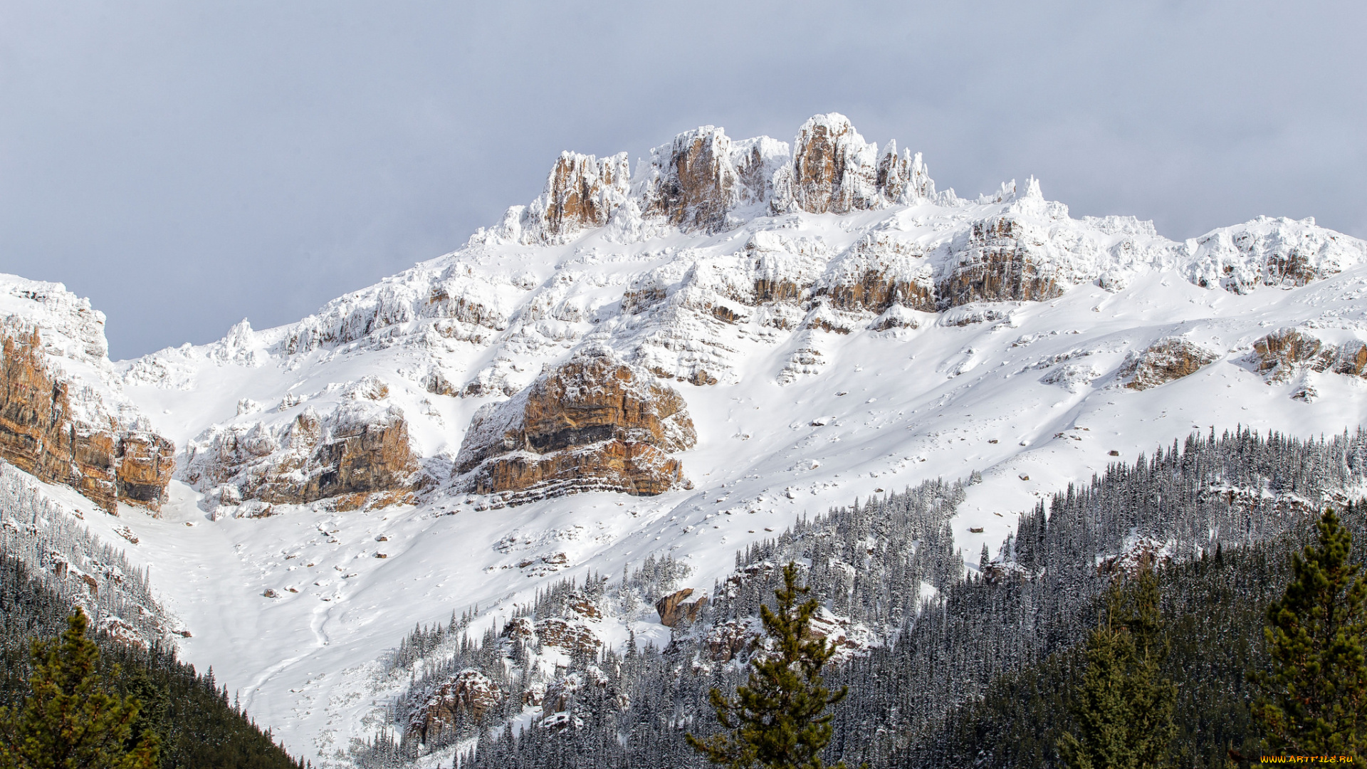 природа, горы, простор