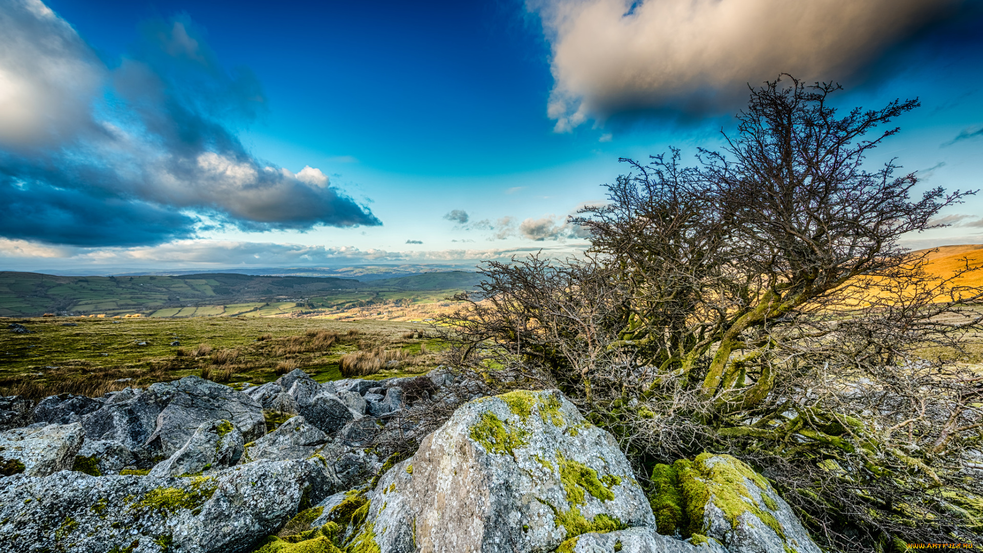 природа, пейзажи, простор