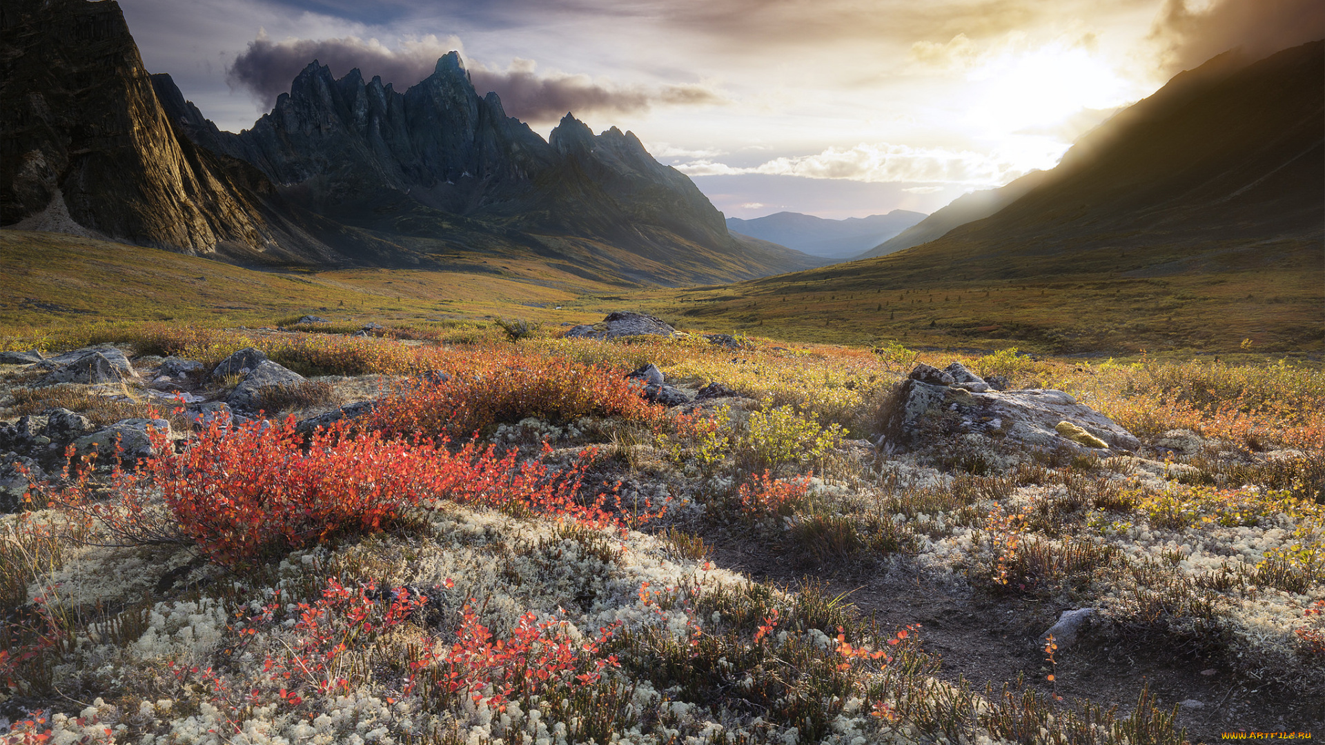 природа, пейзажи, простор