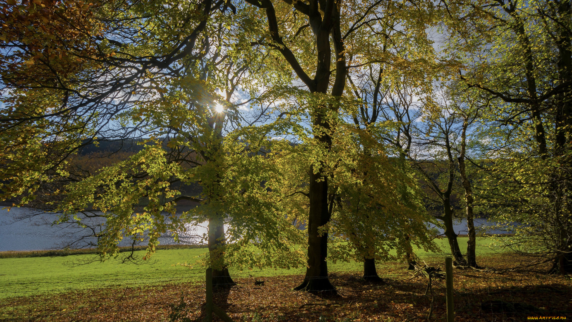 природа, пейзажи, простор