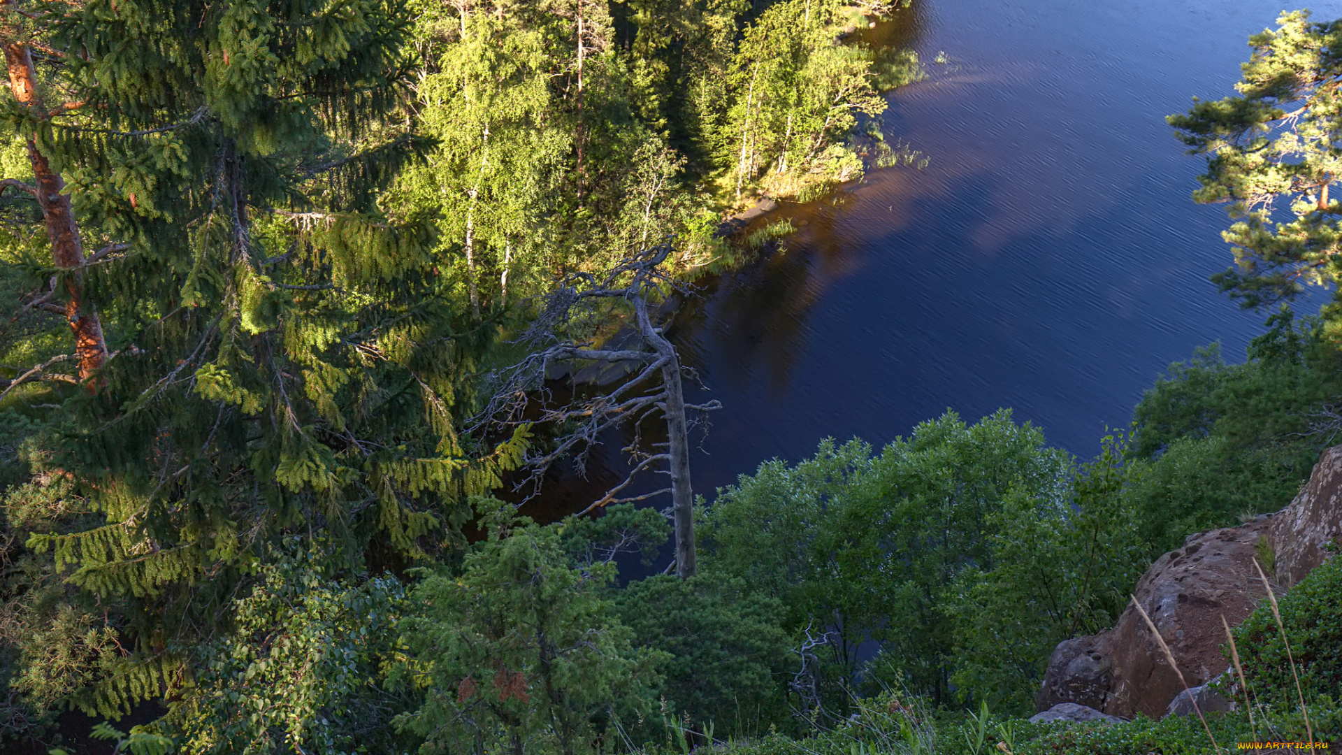 природа, побережье, простор
