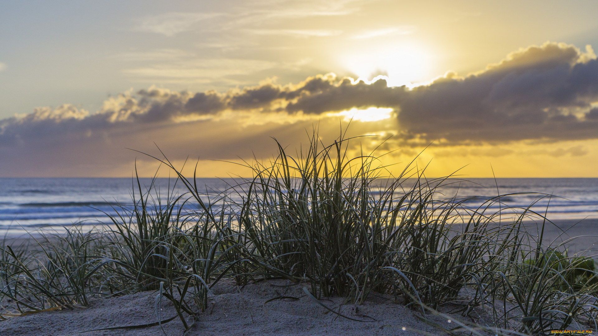 природа, побережье, простор