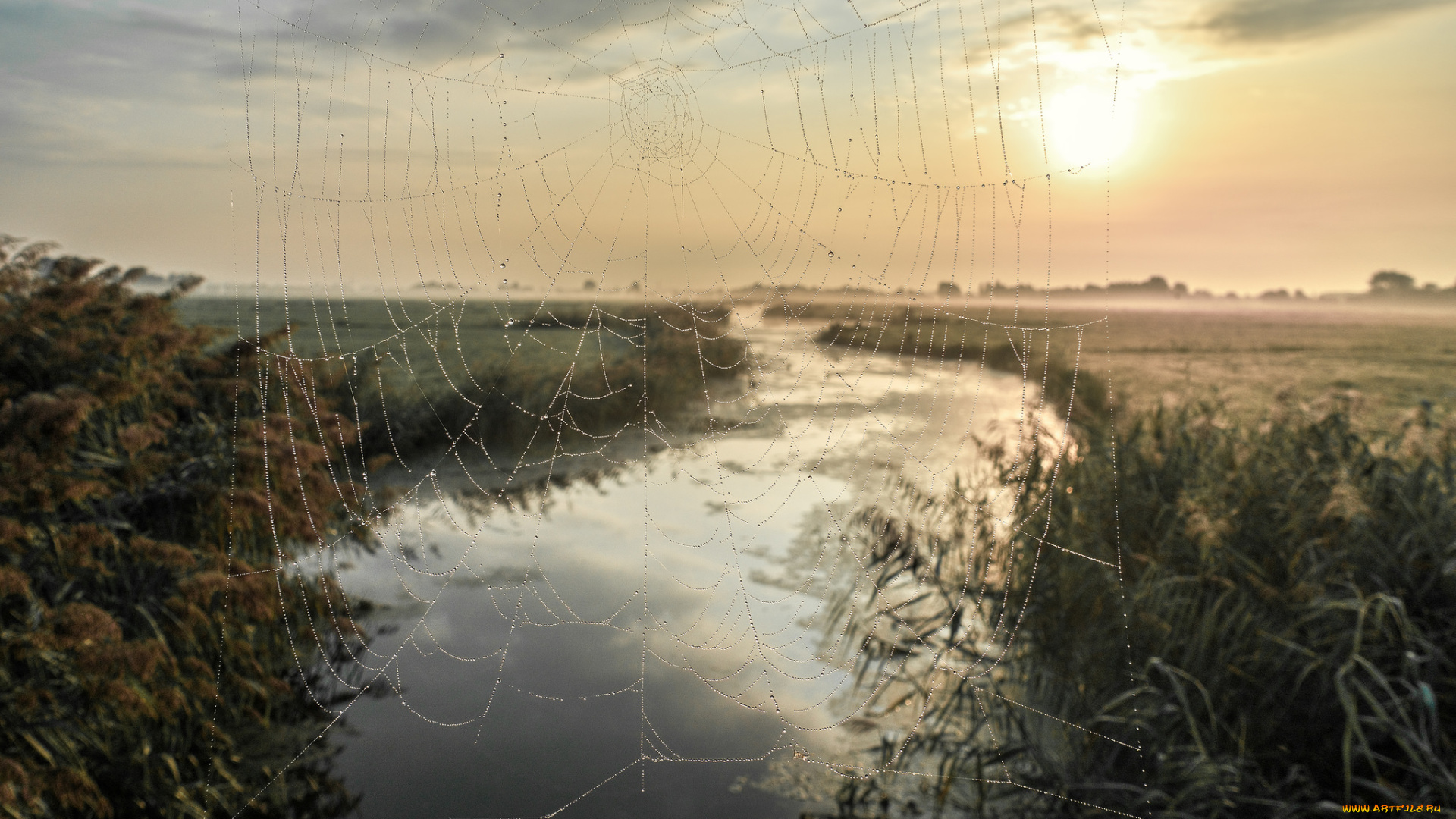 природа, реки, озера, простор