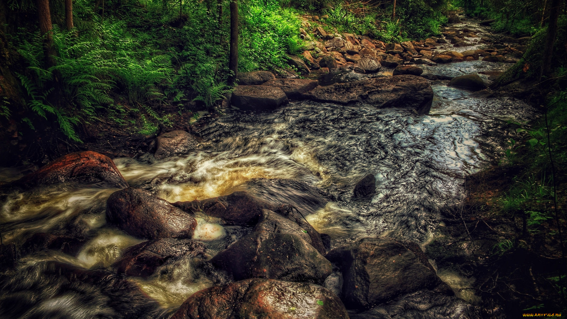 природа, реки, озера, простор