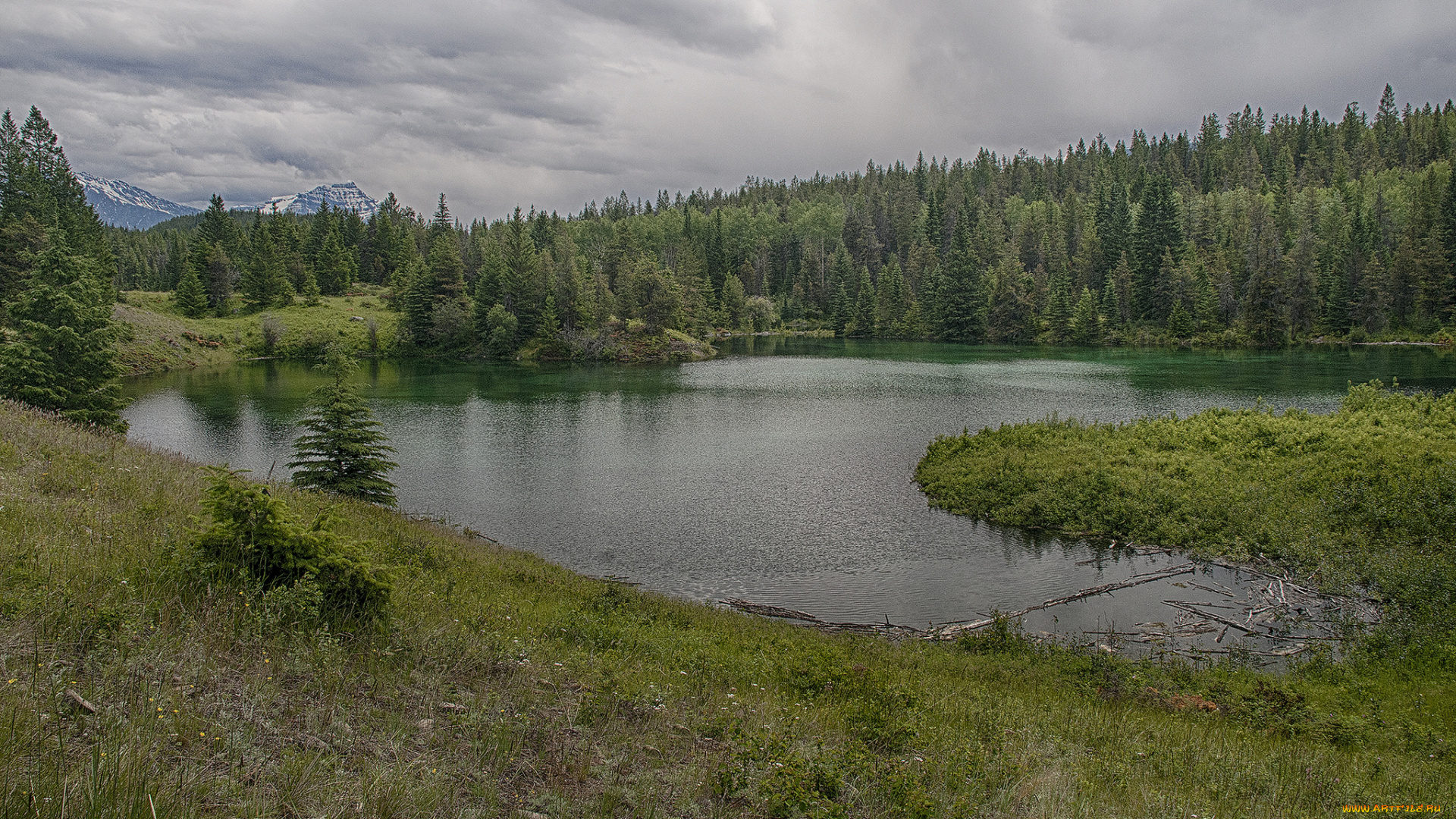 природа, реки, озера, простор