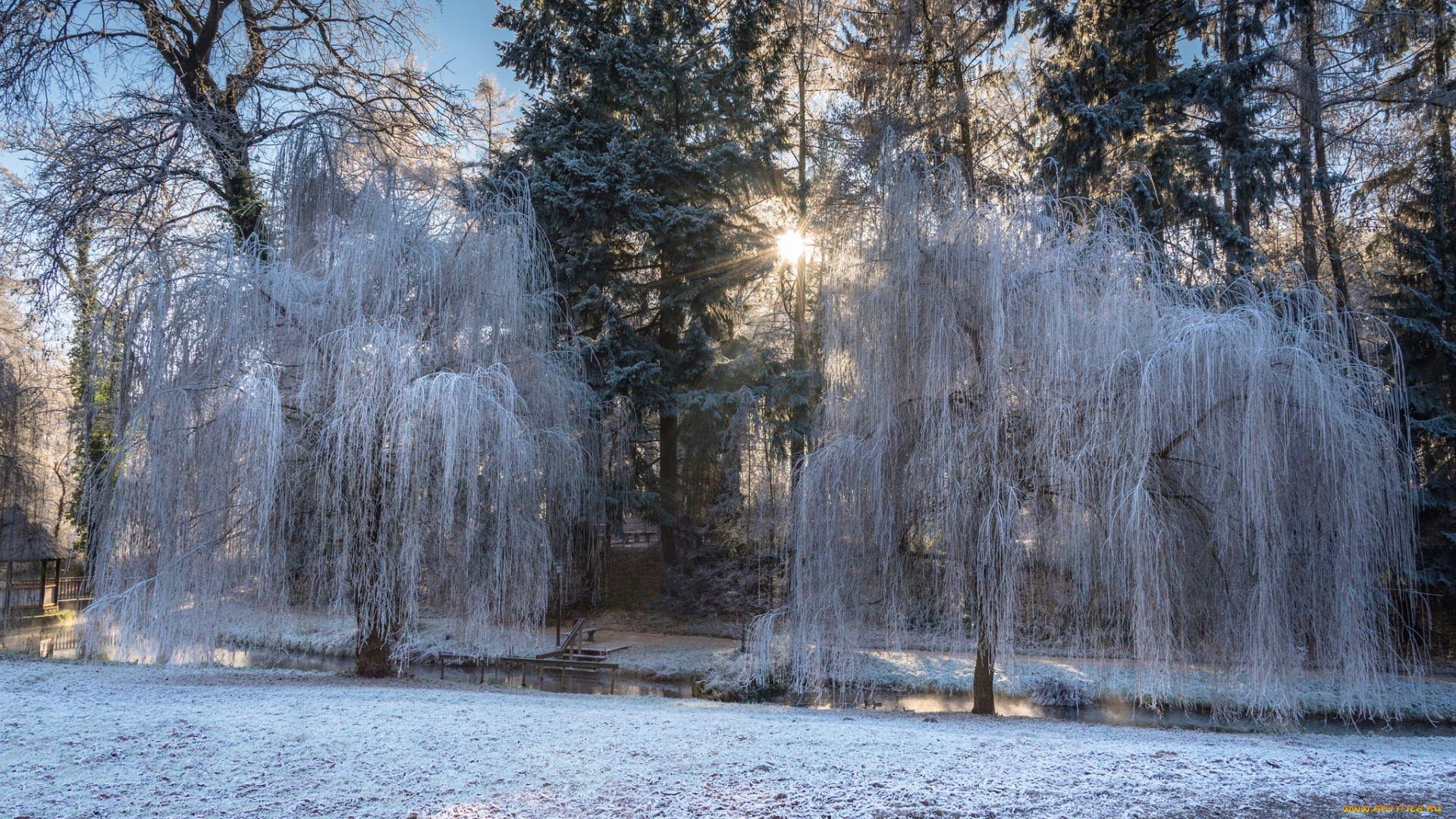 природа, зима, простор
