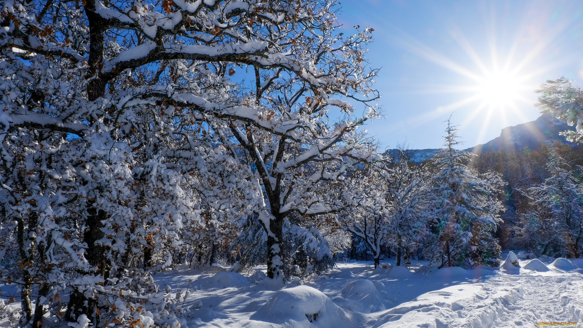 природа, зима, простор