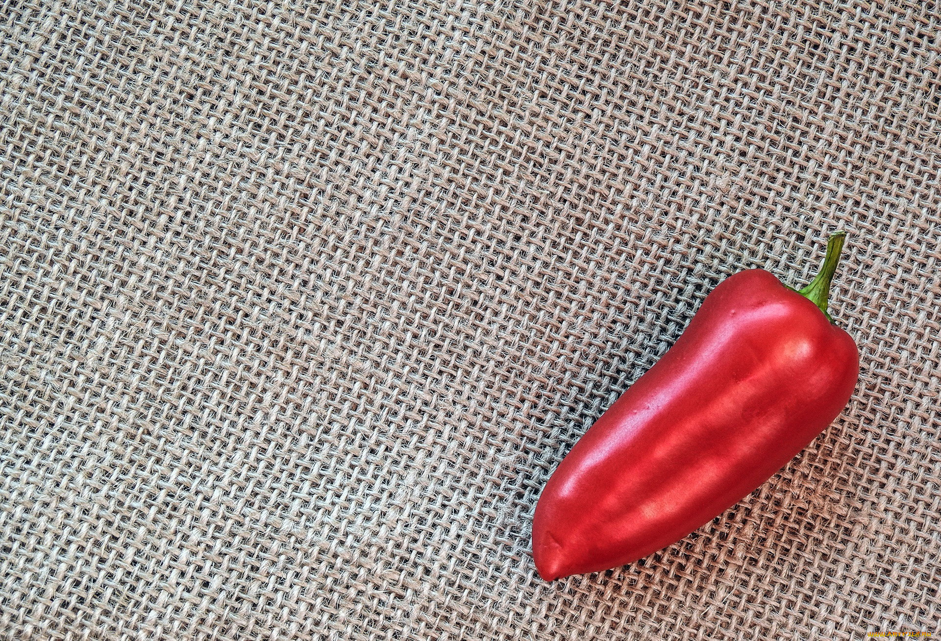 еда, перец, красный