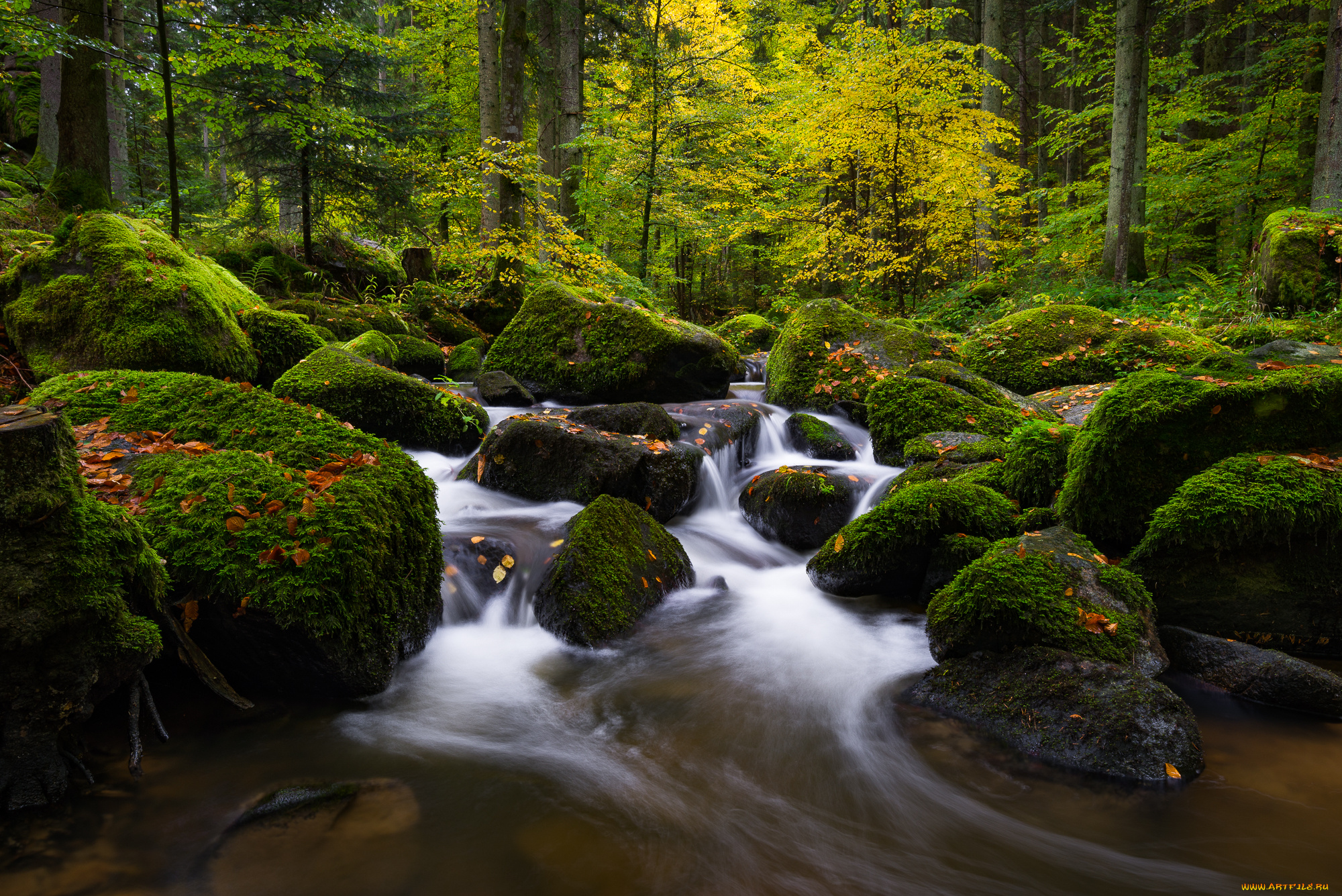 природа, реки, озера, простор