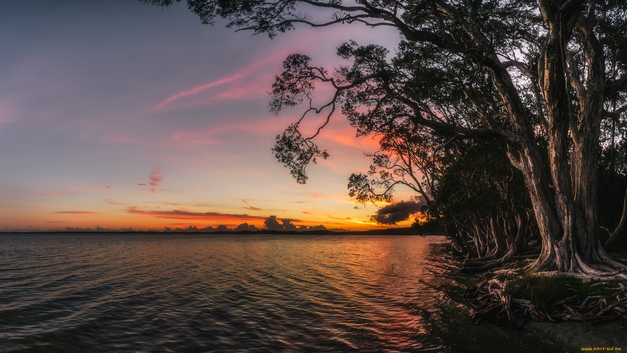 природа, реки, озера, простор