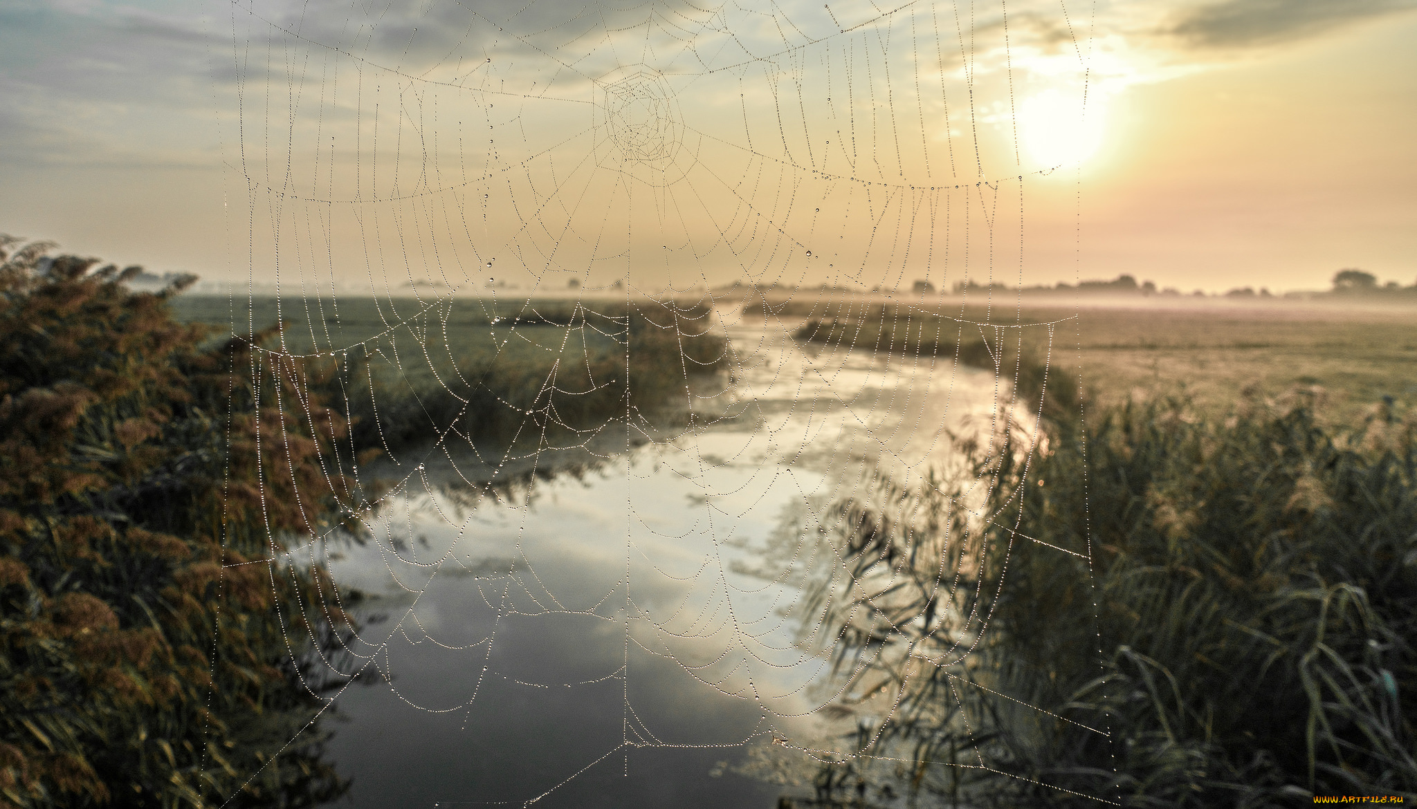 природа, реки, озера, простор