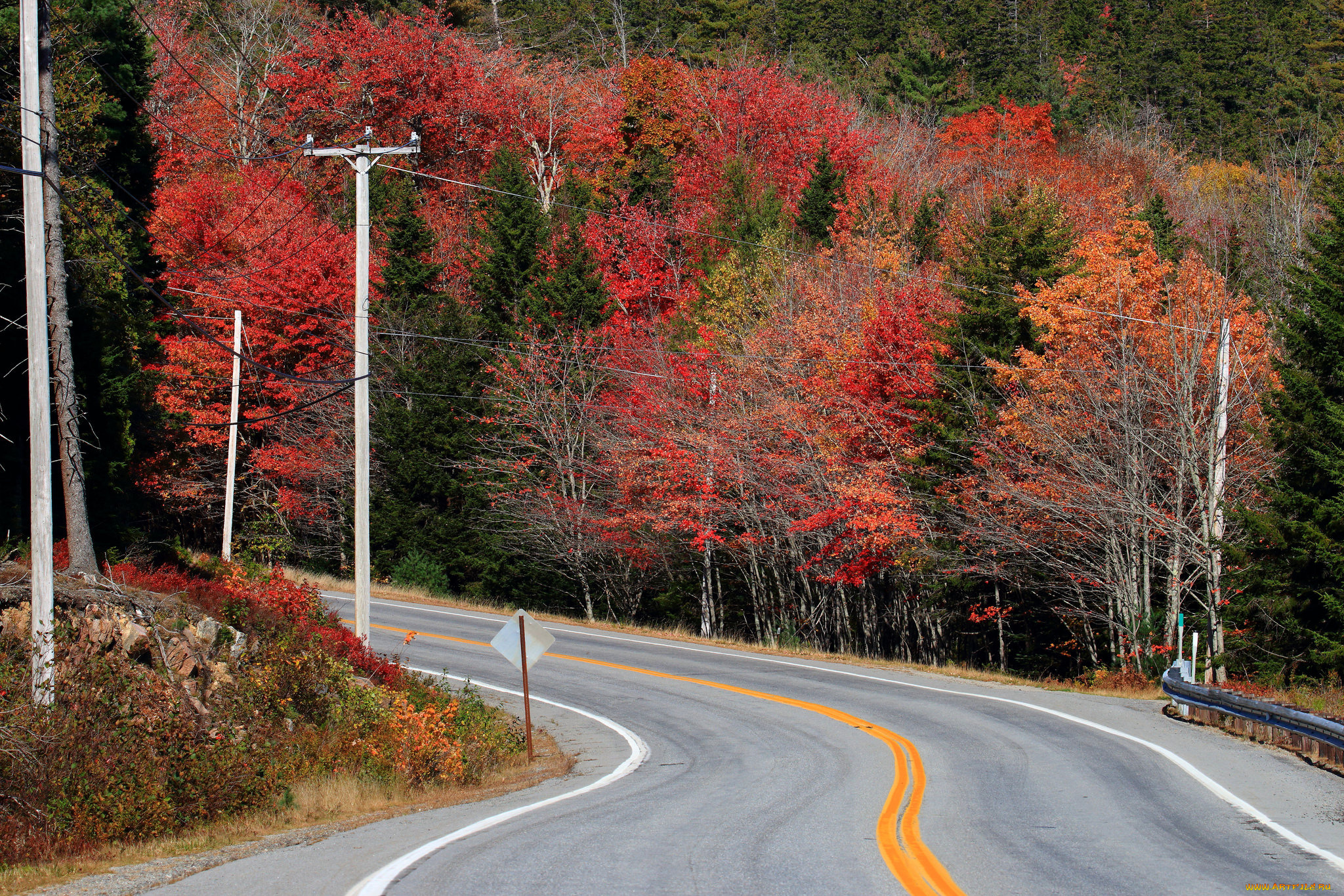 природа, дороги, простор