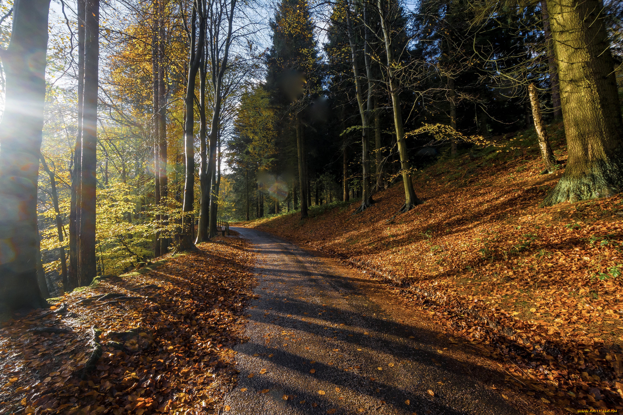 природа, дороги, простор