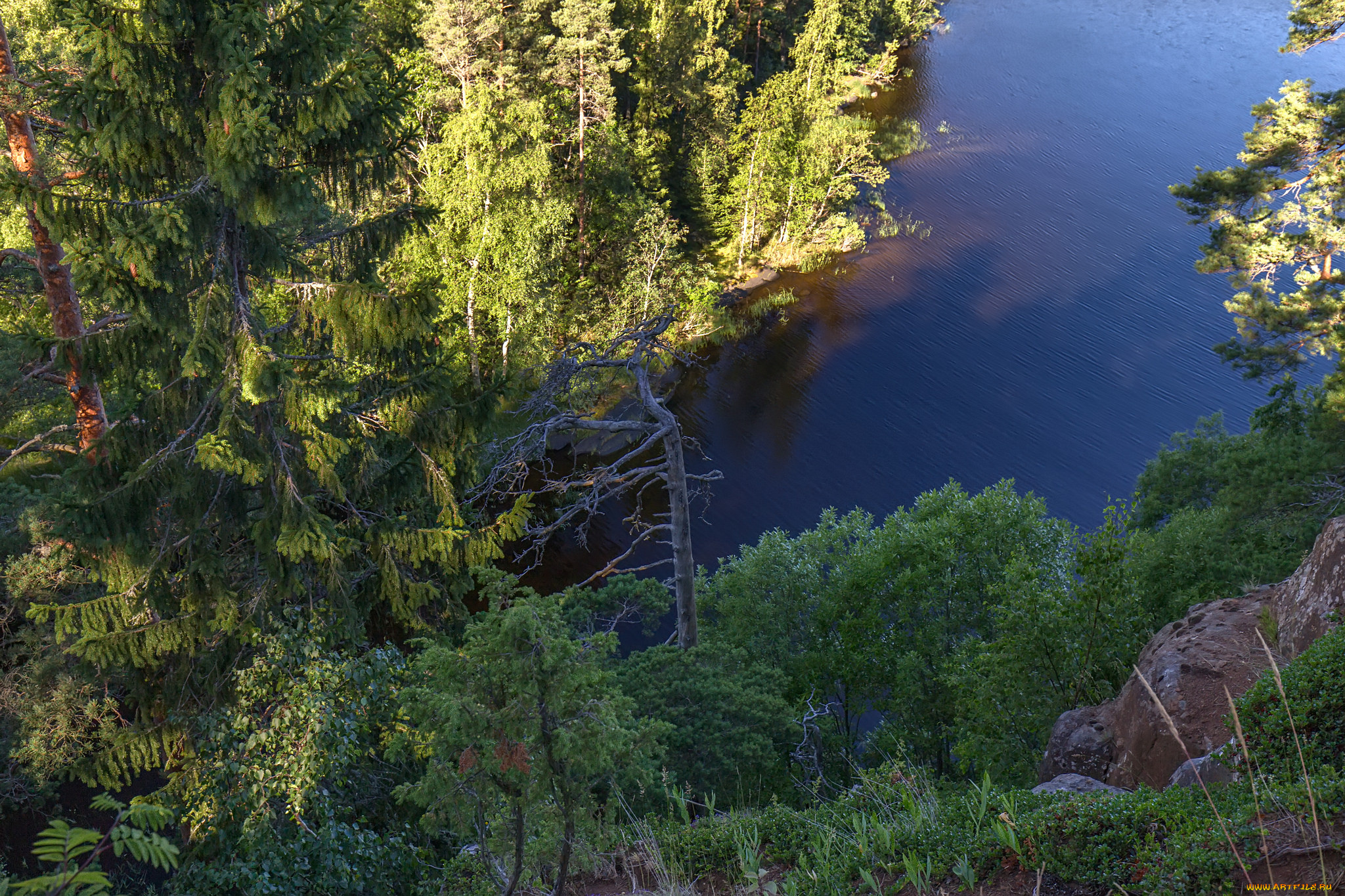 природа, побережье, простор