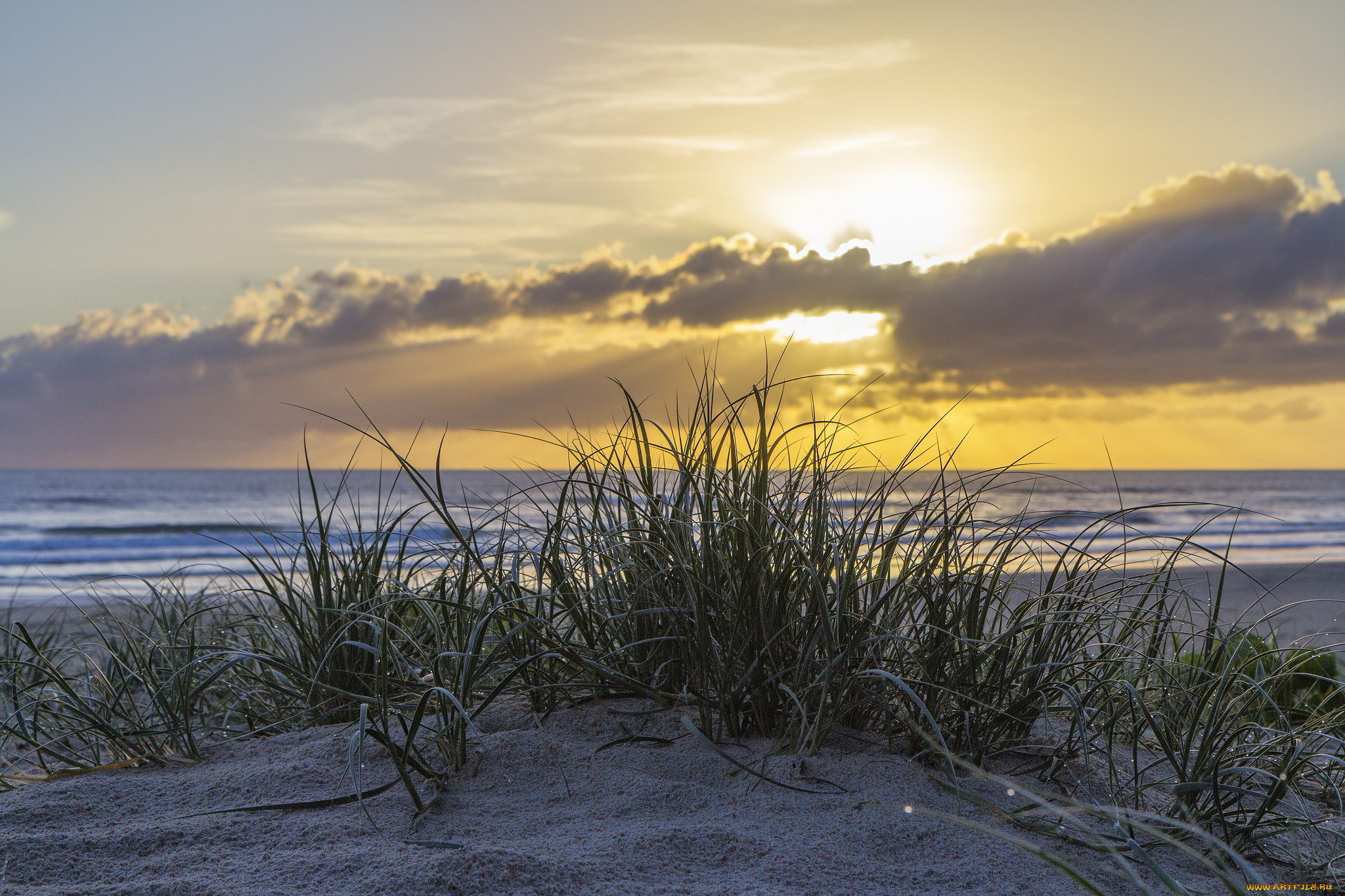 природа, побережье, простор