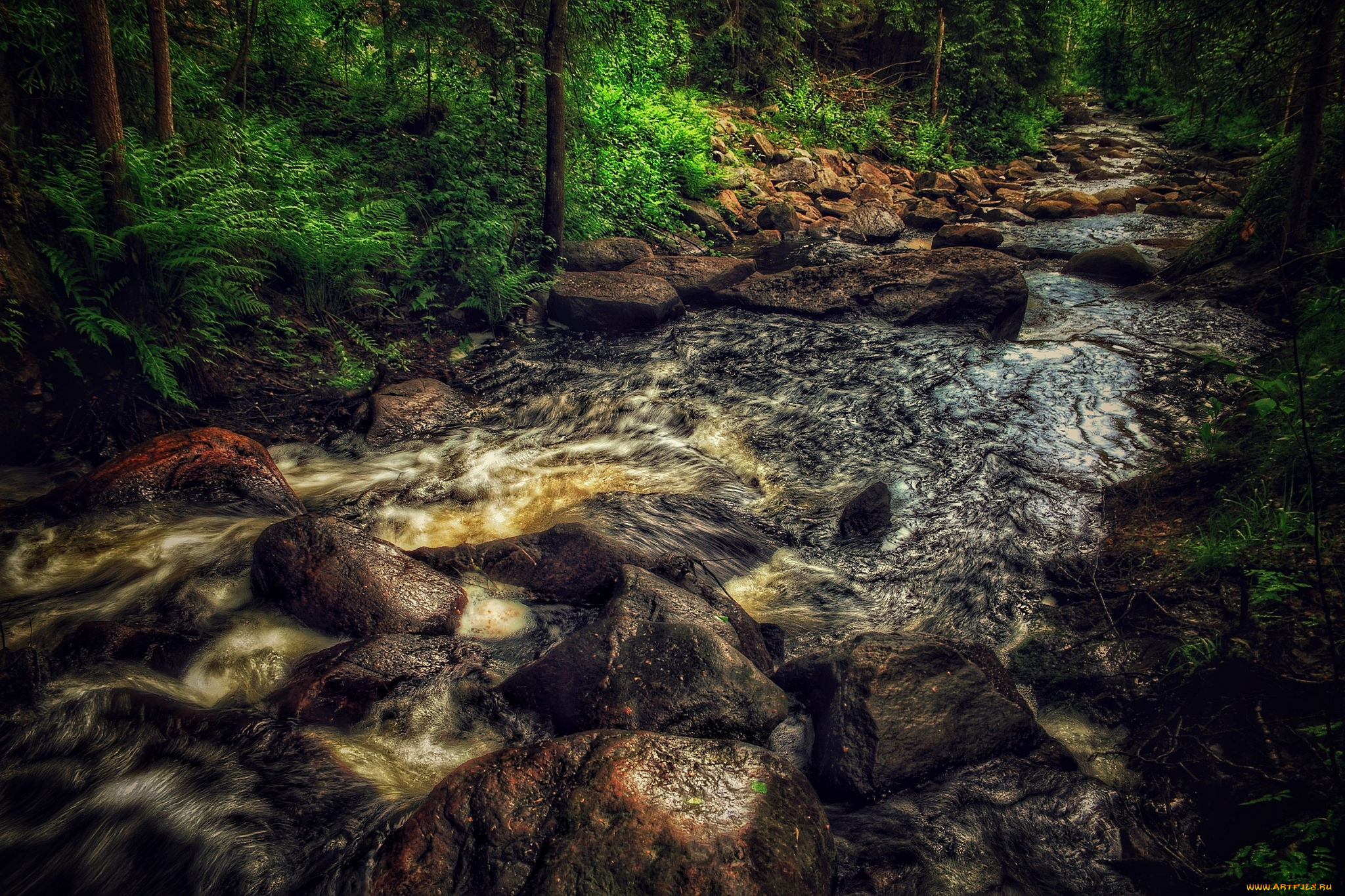 природа, реки, озера, простор