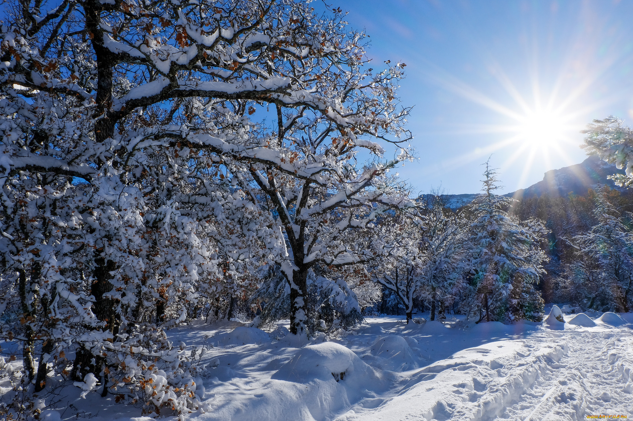 природа, зима, простор