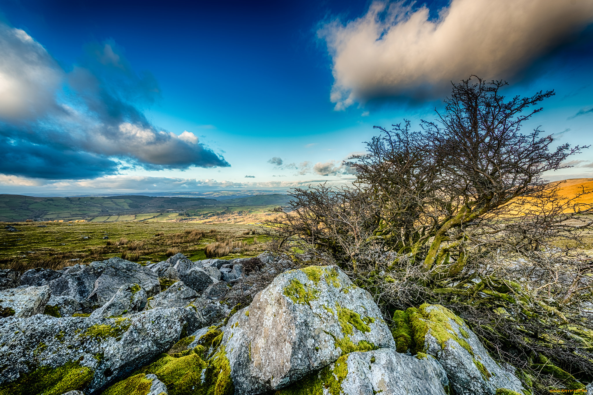 природа, пейзажи, простор