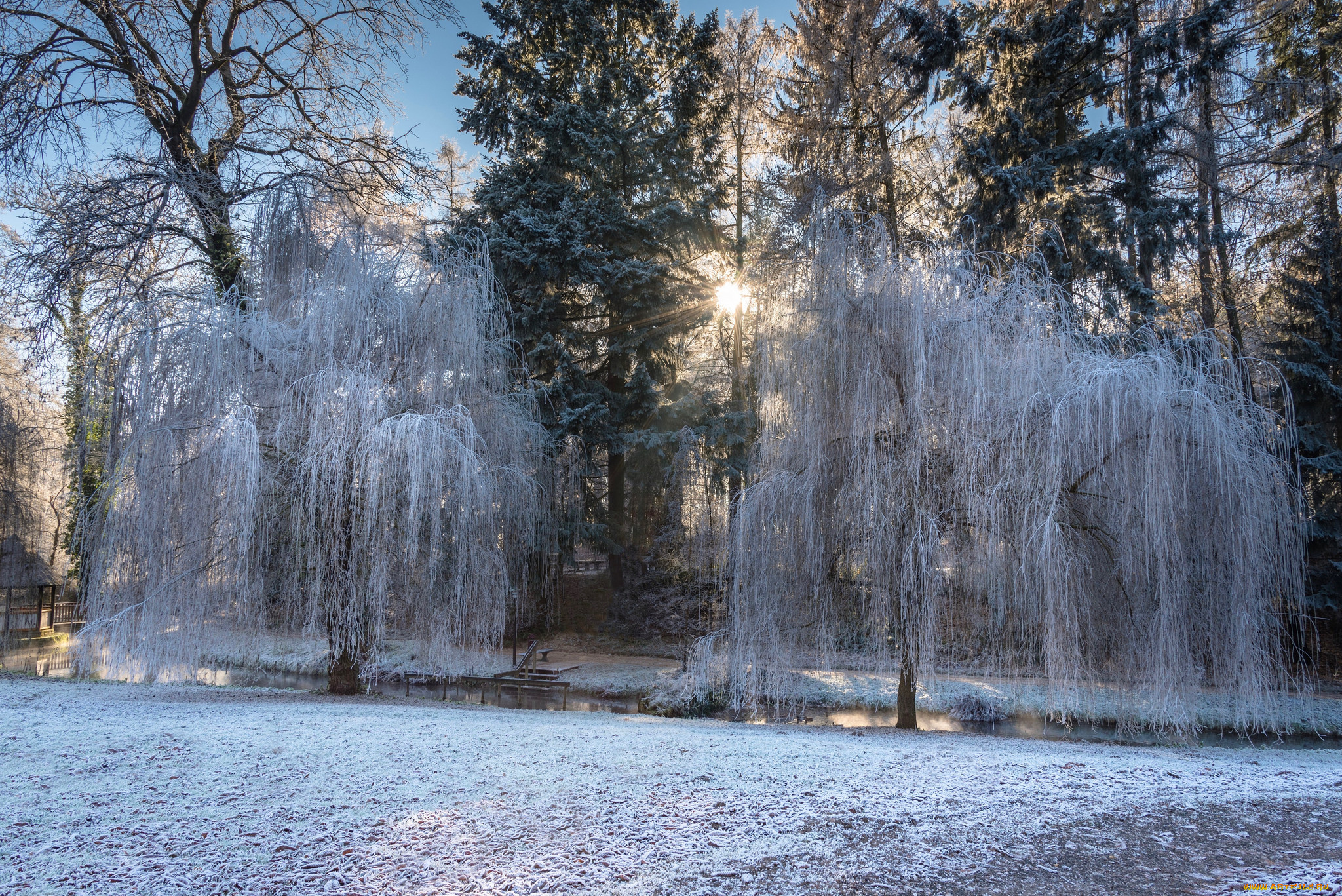 природа, зима, простор