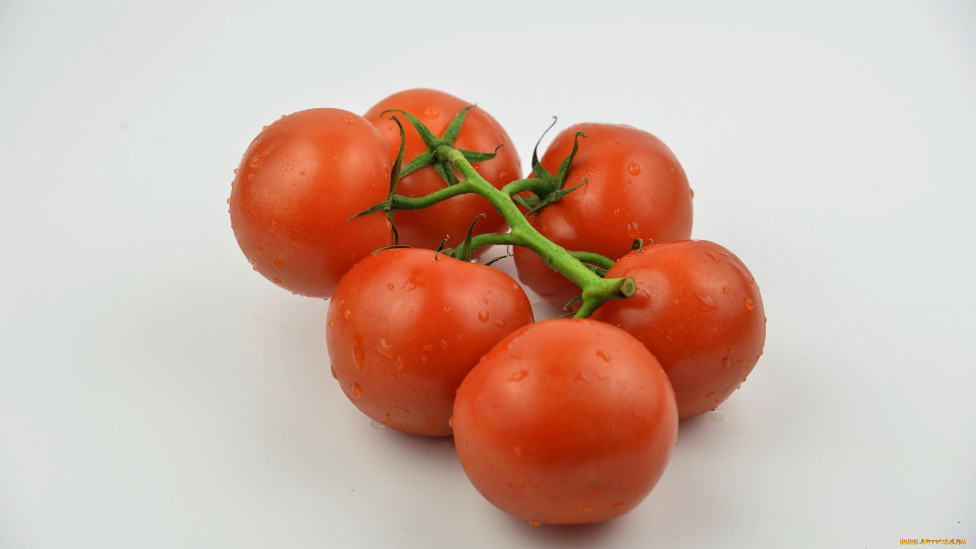 еда, помидоры, овощи, томаты