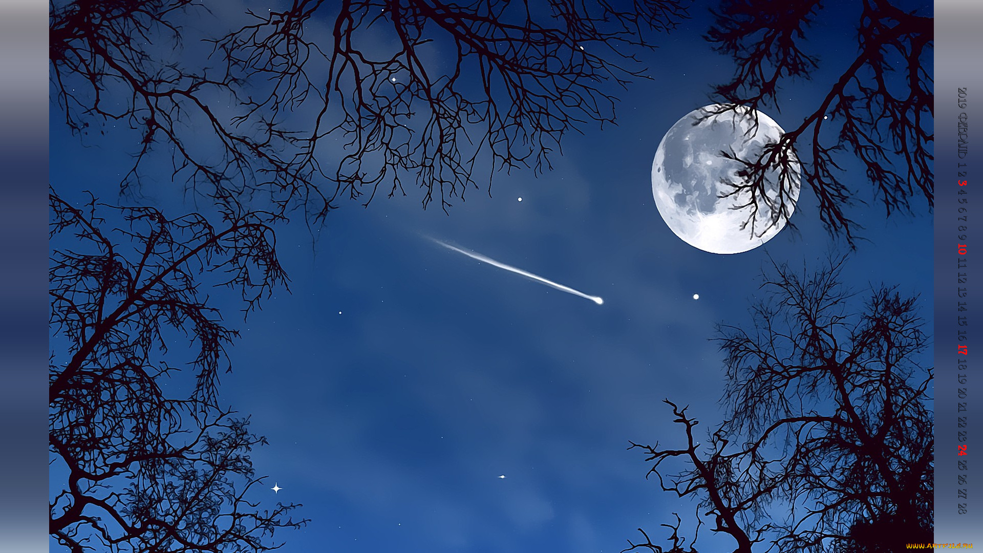 календари, компьютерный, дизайн, дерево, ночь, планета