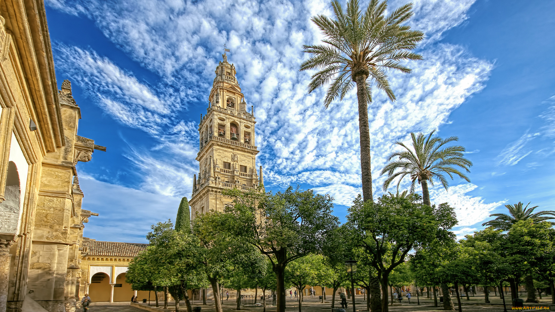 mezquita, de, c&, 243, rdoba, -, the, mosque, of, cordoba, города, -, мечети, , медресе, простор